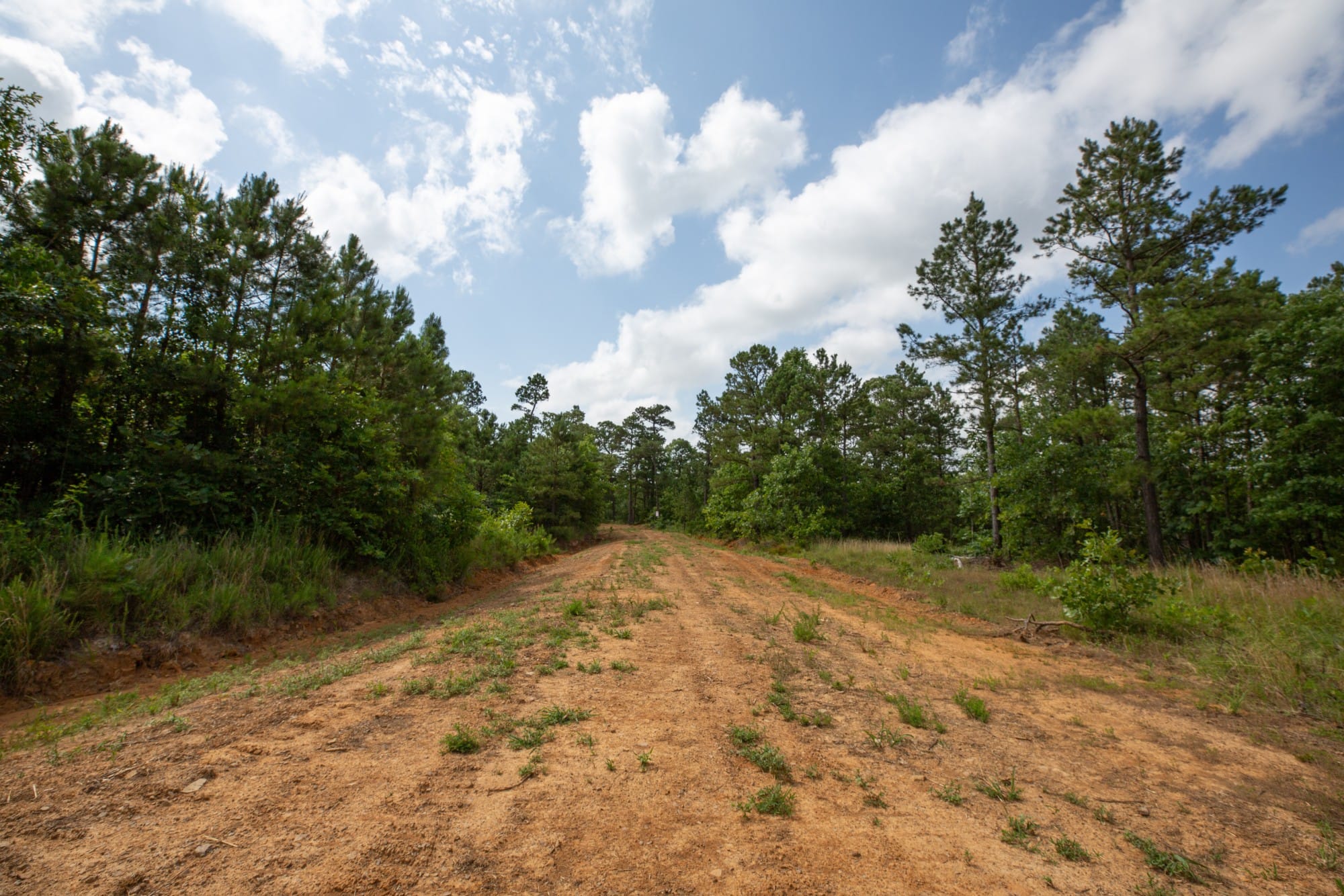 Eagle’s Nest Tract 33 photo 8