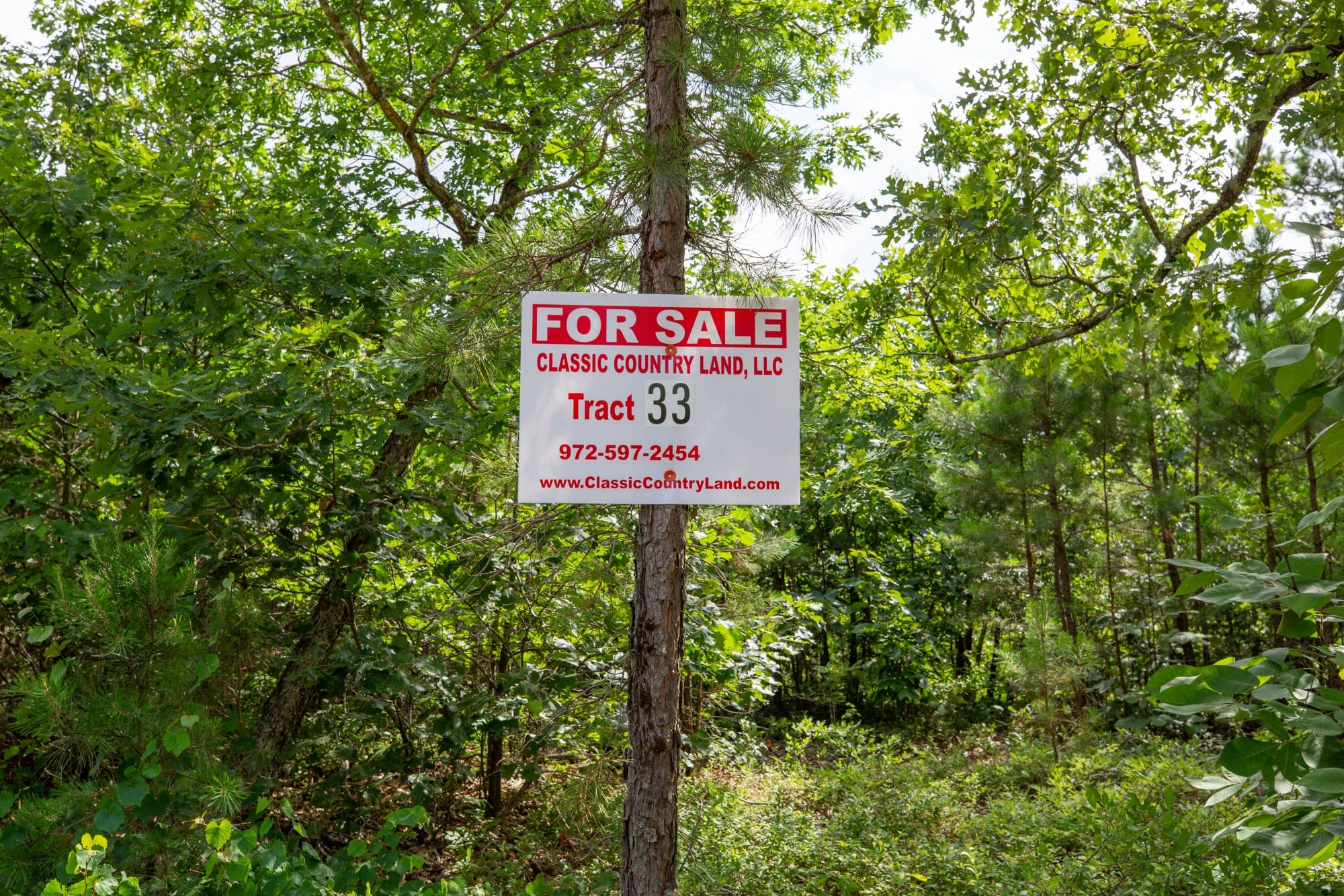 Eagle’s Nest Tract 33 photo 1