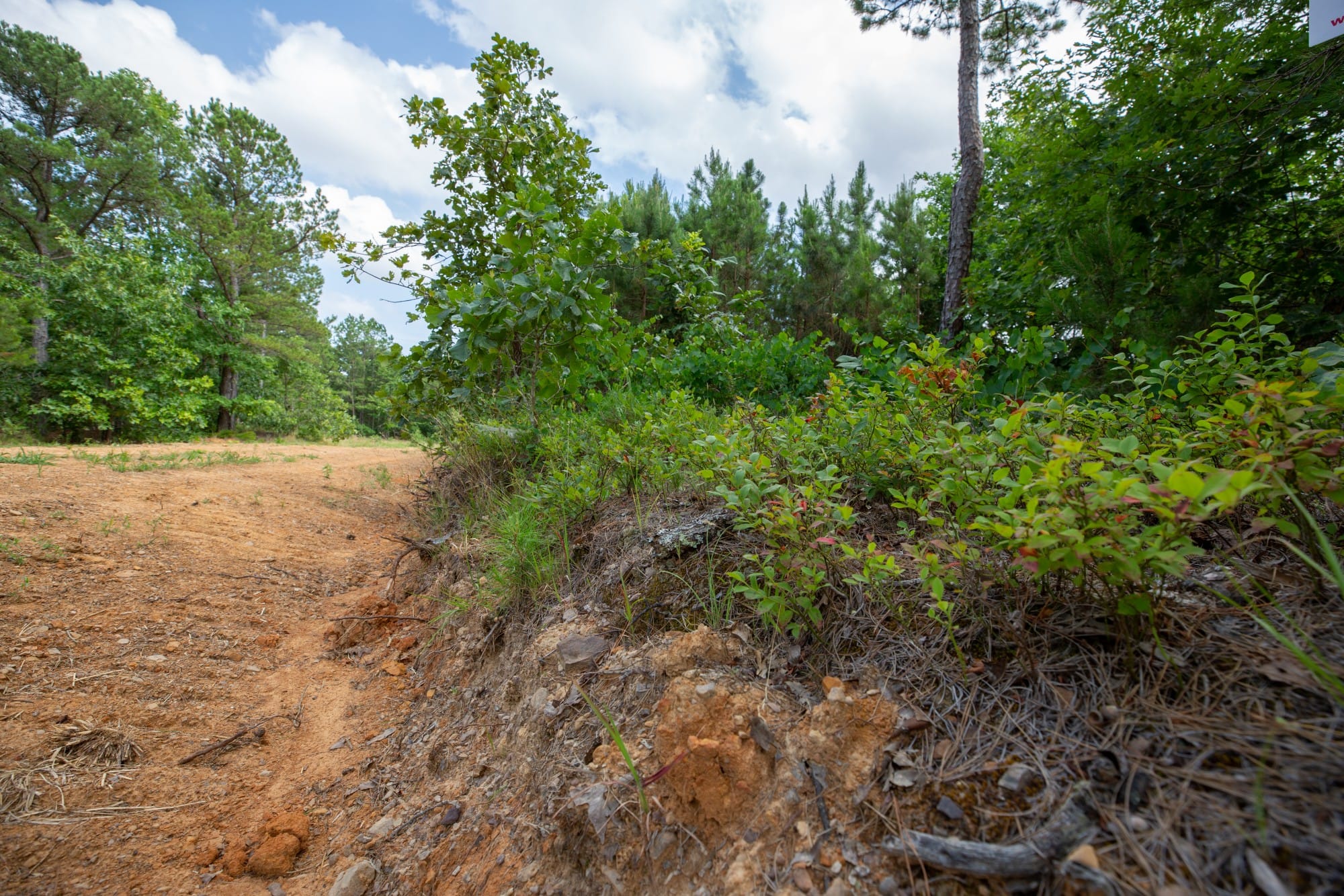 Eagle’s Nest Tract 33 photo 10