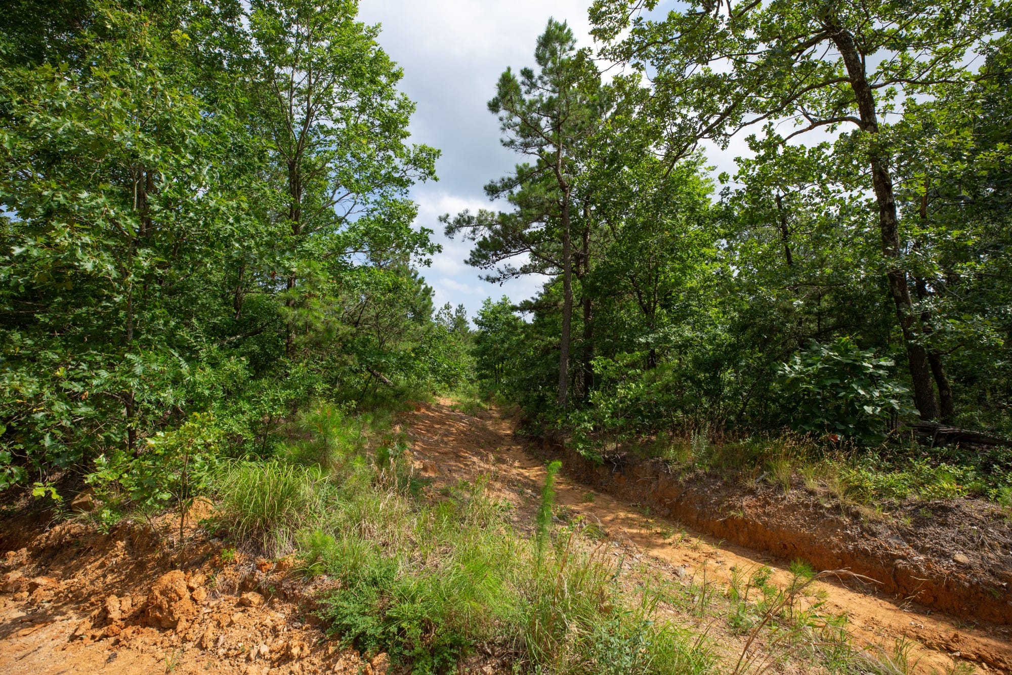Eagle’s Nest Tract 33 photo 11