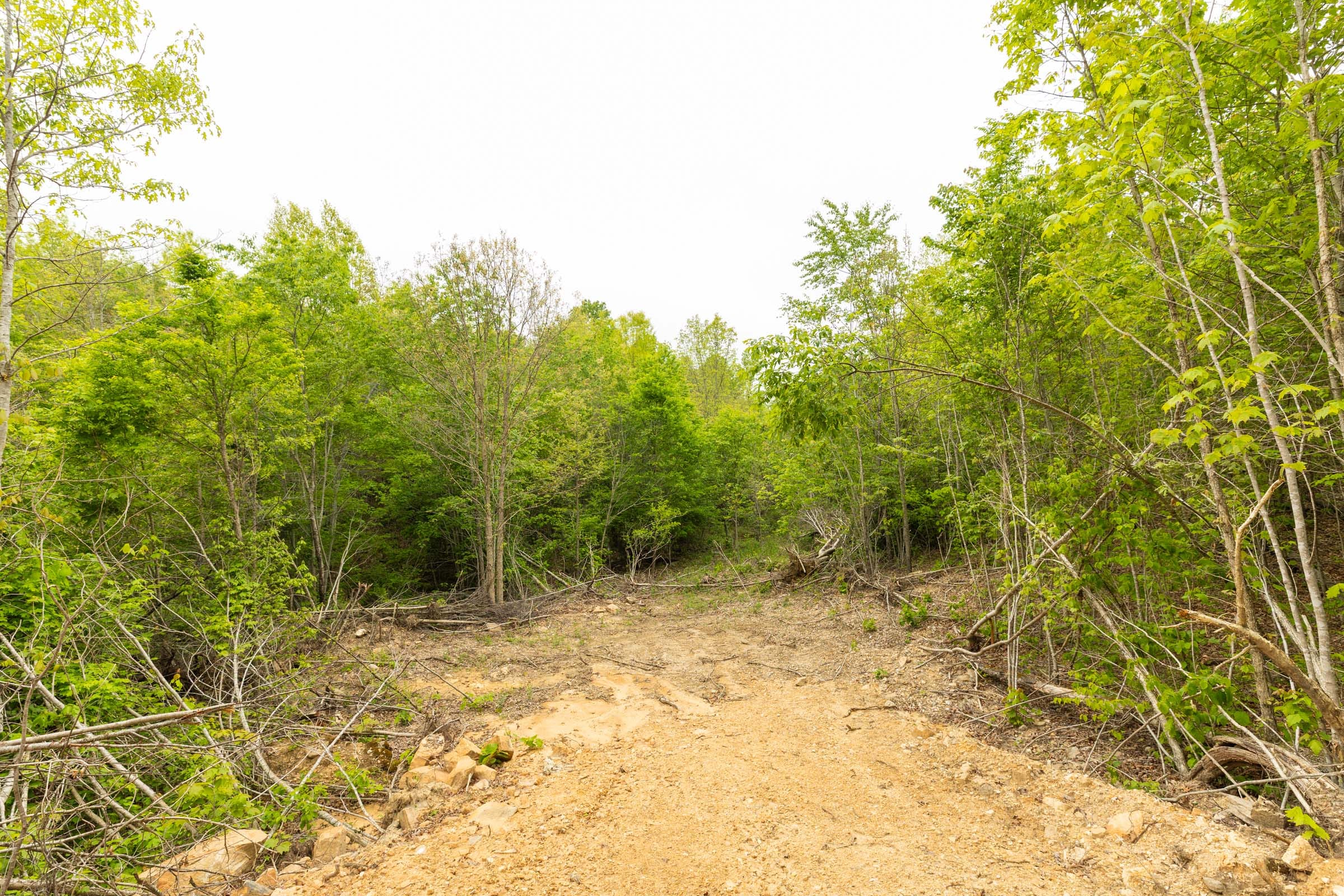 Double S Ranch Tract 8 photo 9