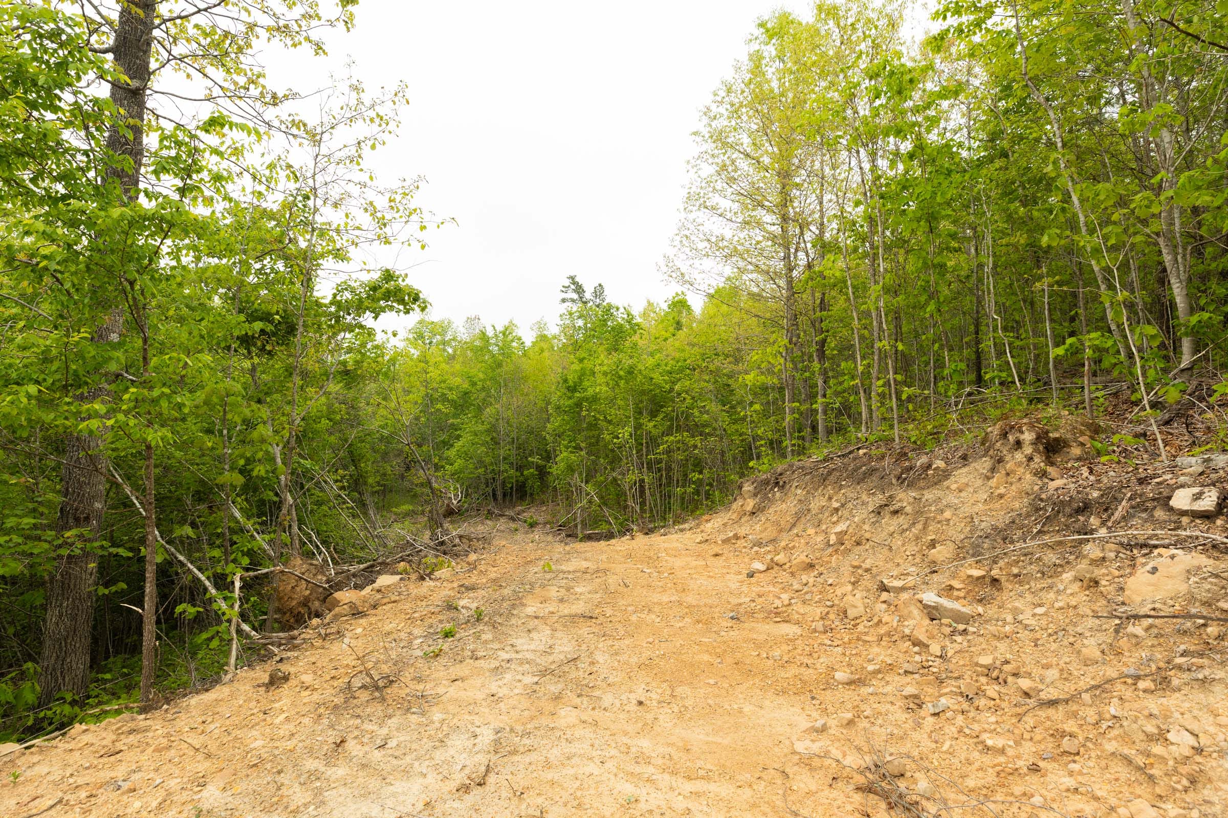 Double S Ranch Tract 8 photo 11