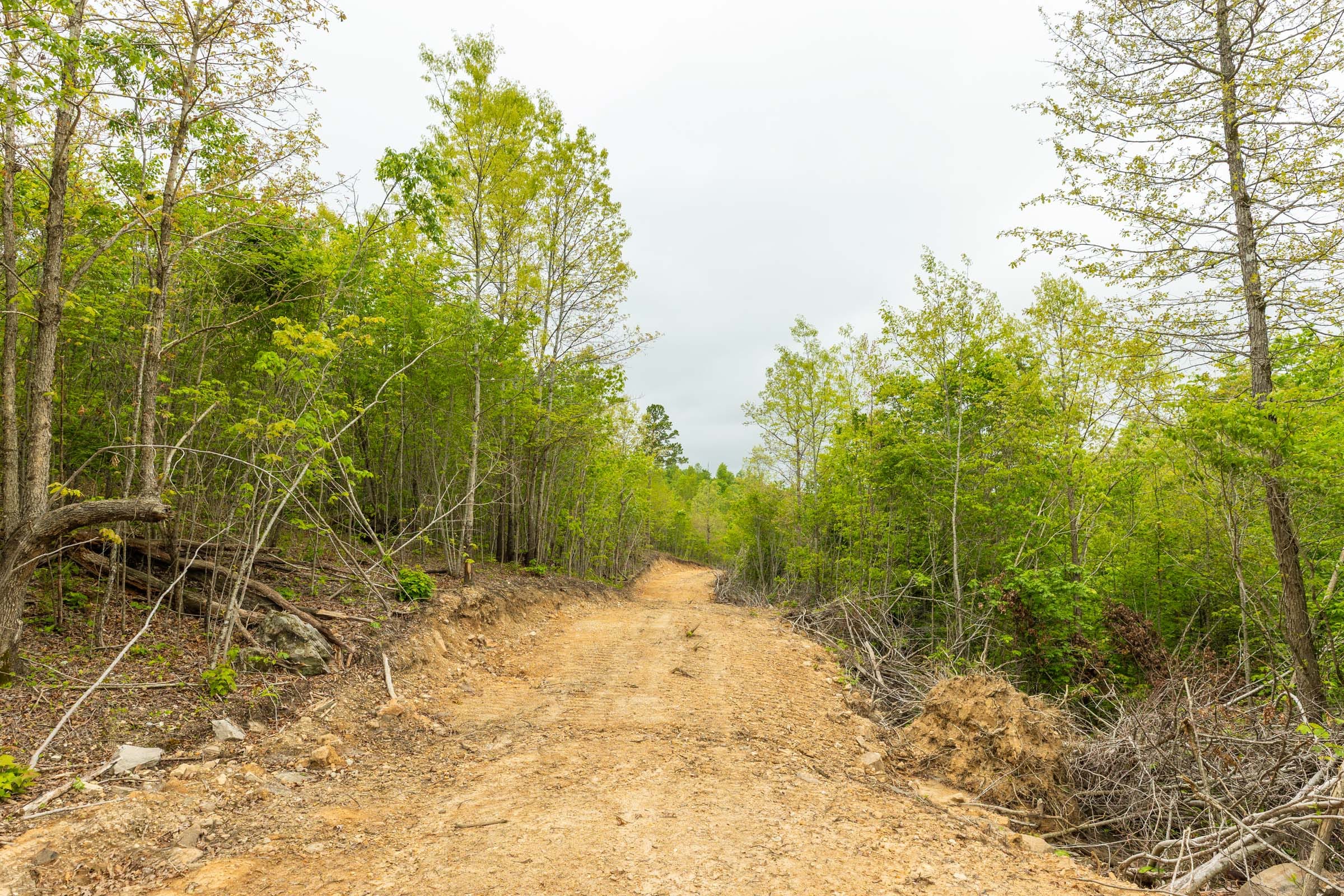 Double S Ranch Tract 8 photo 6