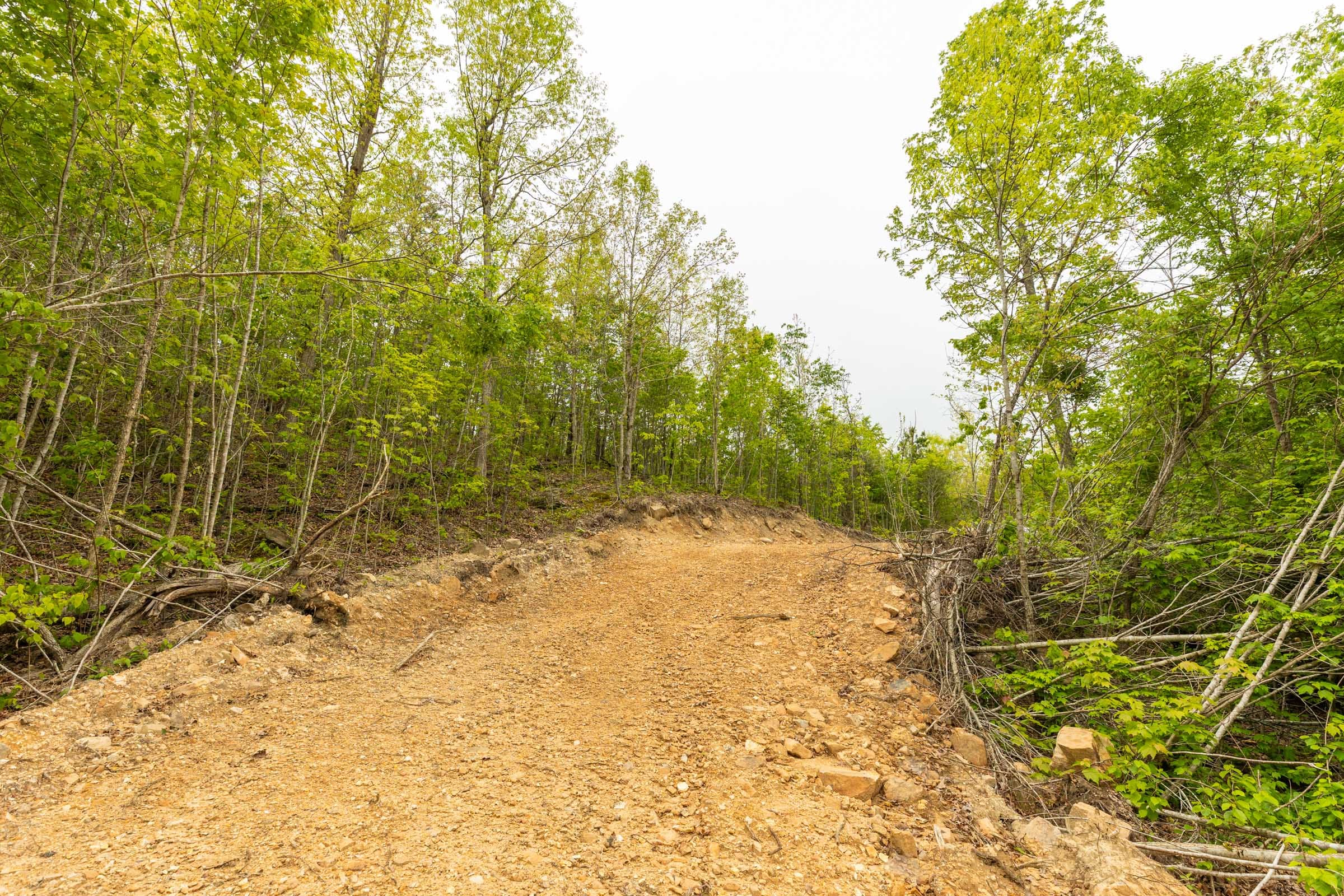 Double S Ranch Tract 8 photo 2