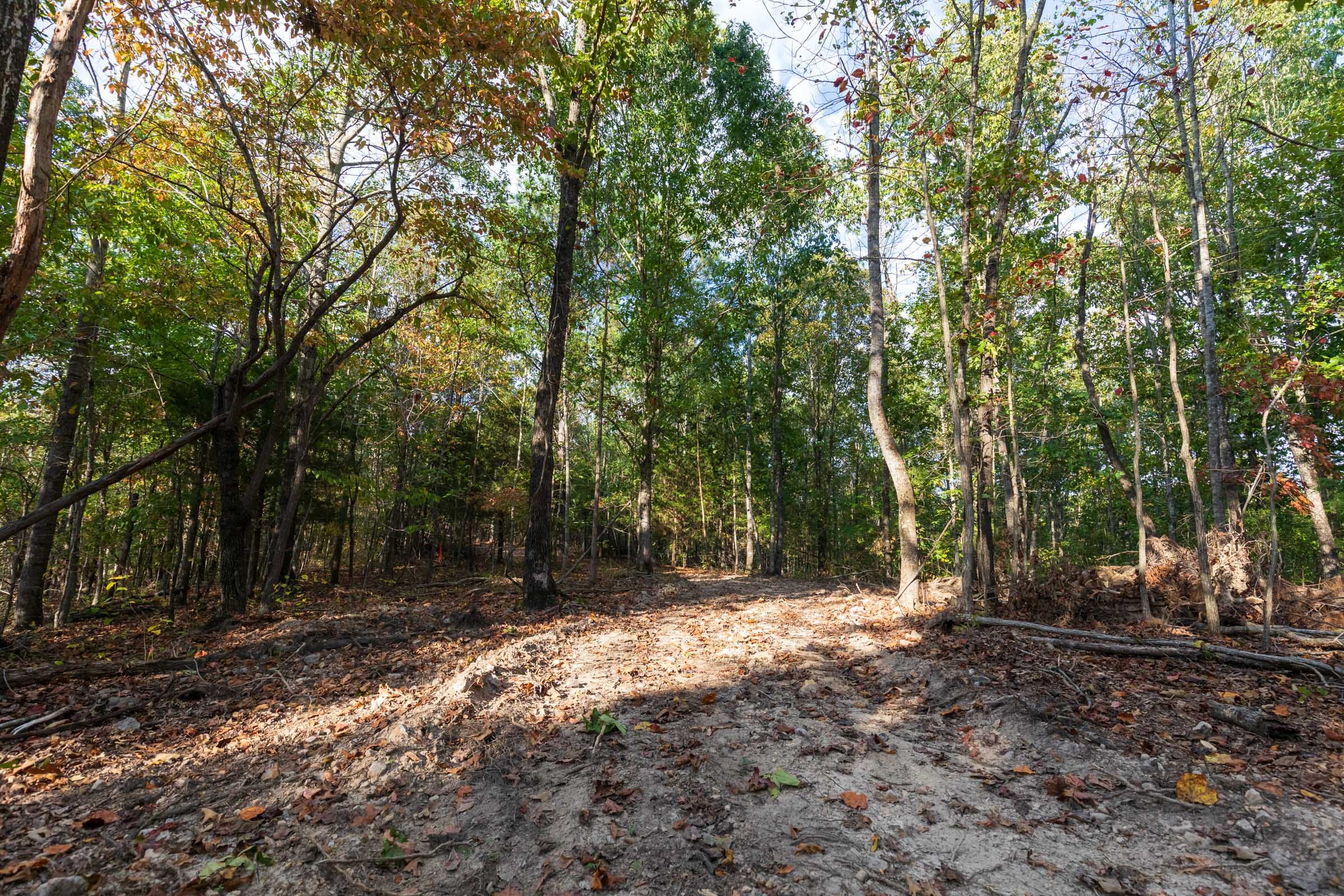Bear Brook Tract 15 photo 3