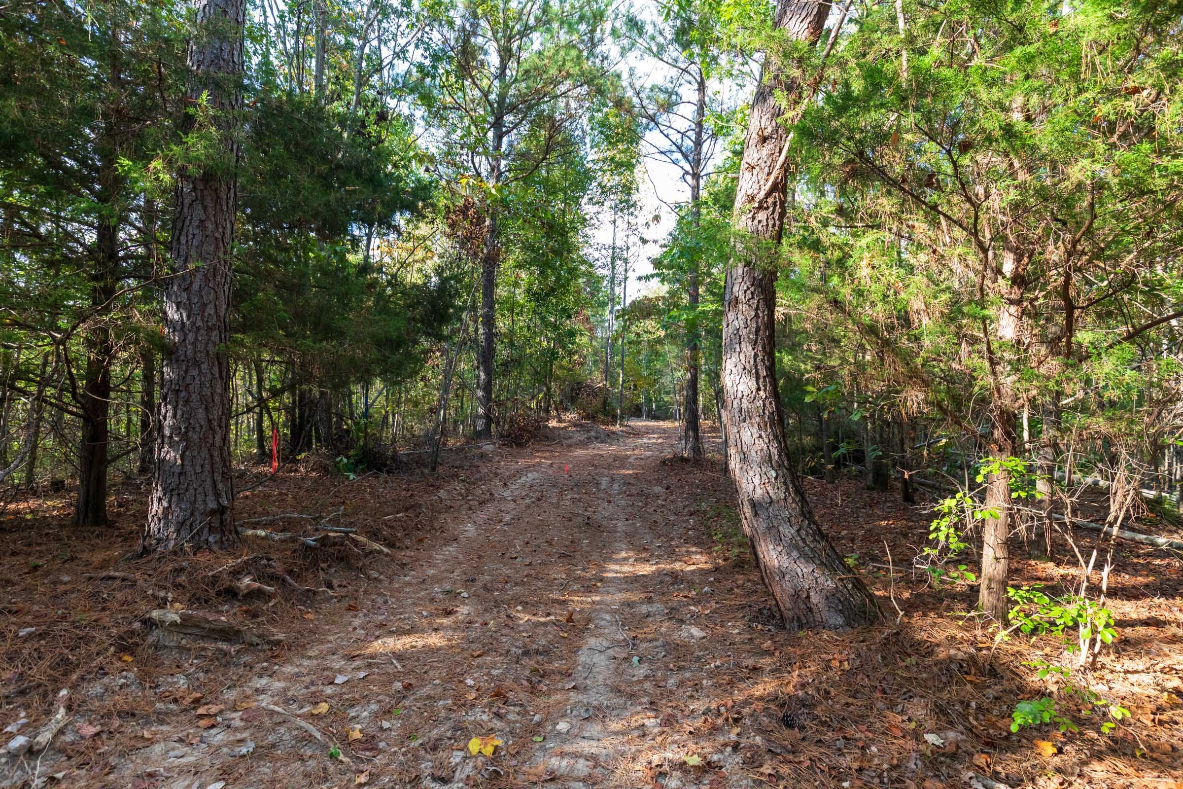 Bear Brook Tract 15 photo 6