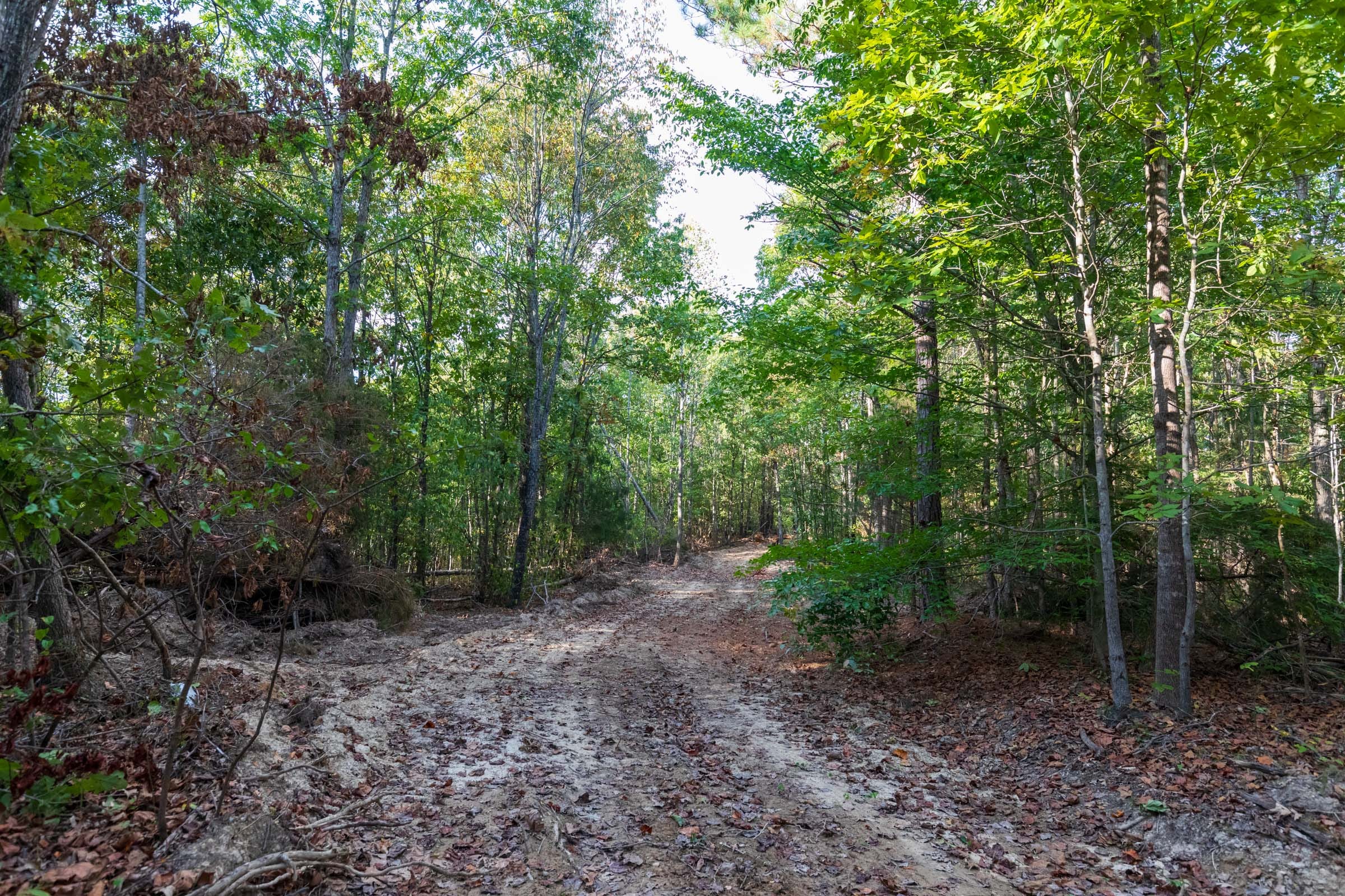 Bear Brook Tract 15 photo 8