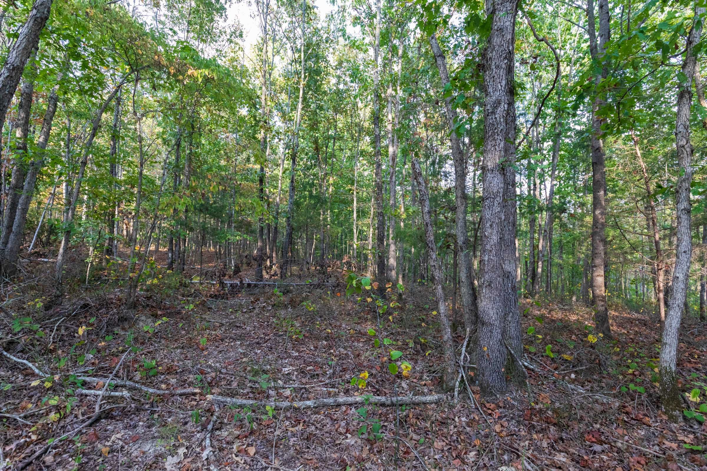 Bear Brook Tract 15 photo 5