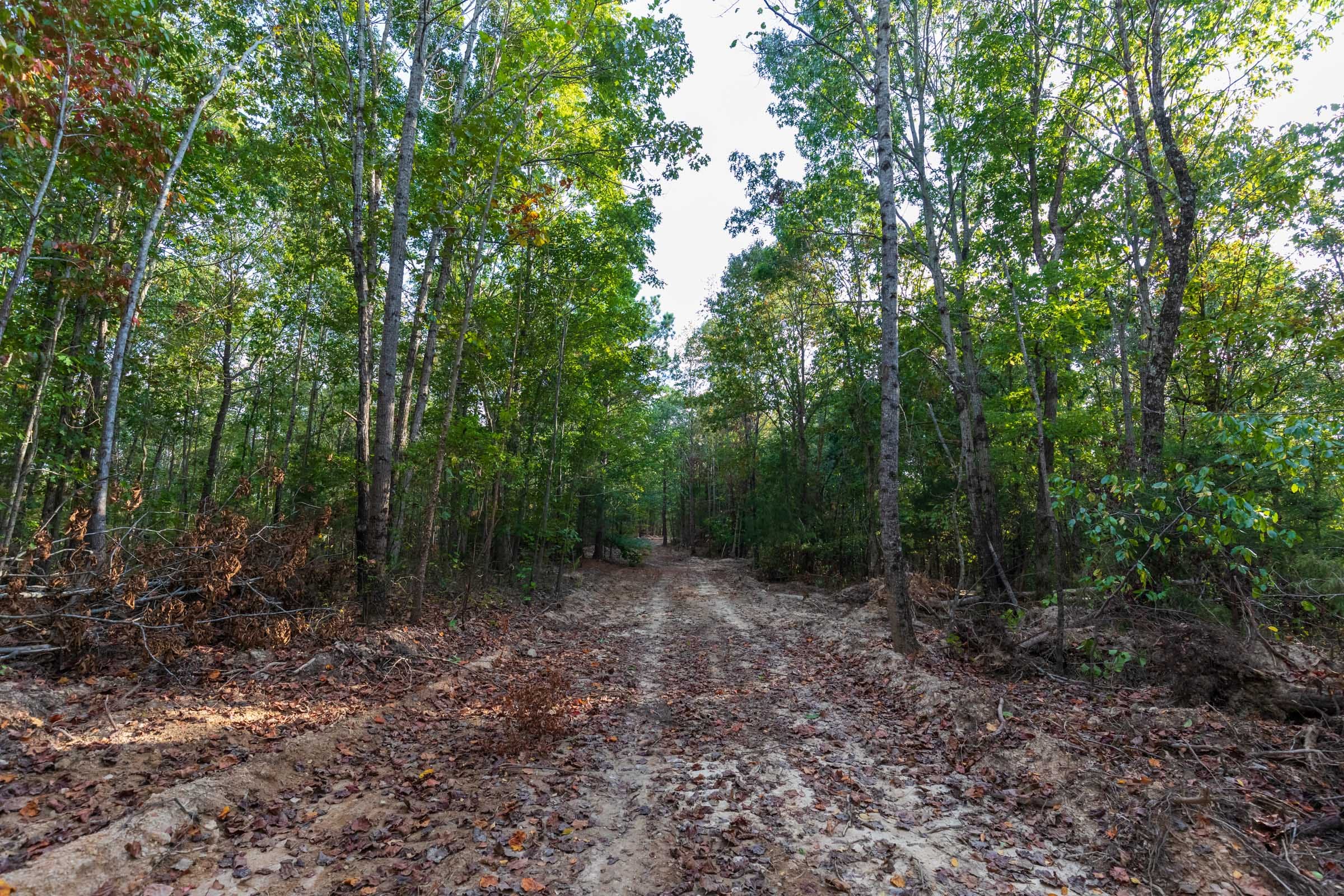 Bear Brook Tract 15 photo 1
