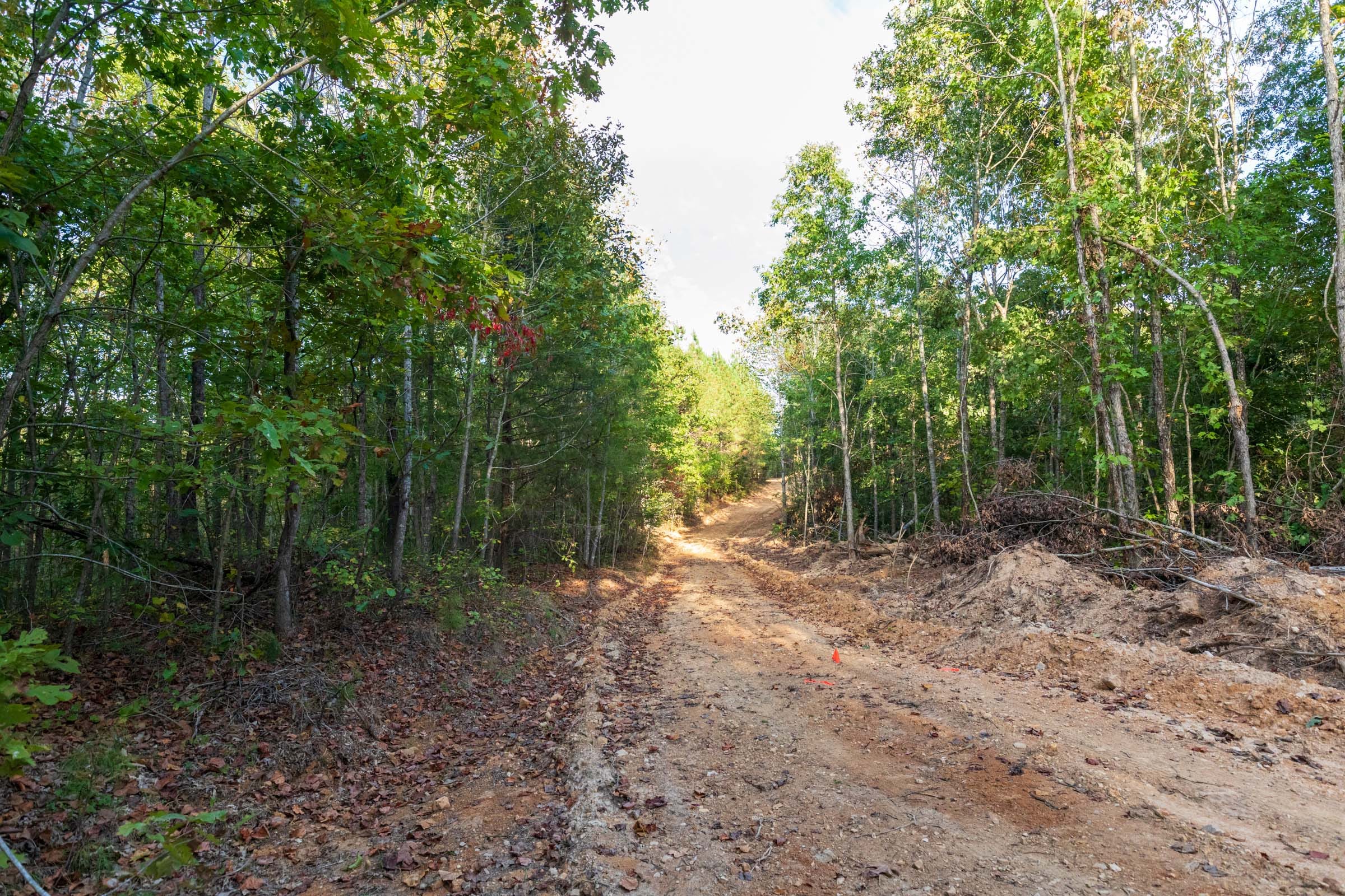 Bear Brook Tract 15 photo 9