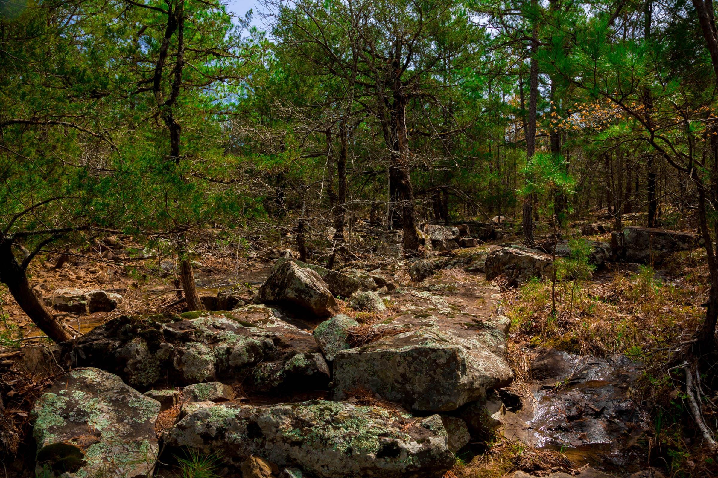 Stone Creek Phase II Tract 240 photo 7