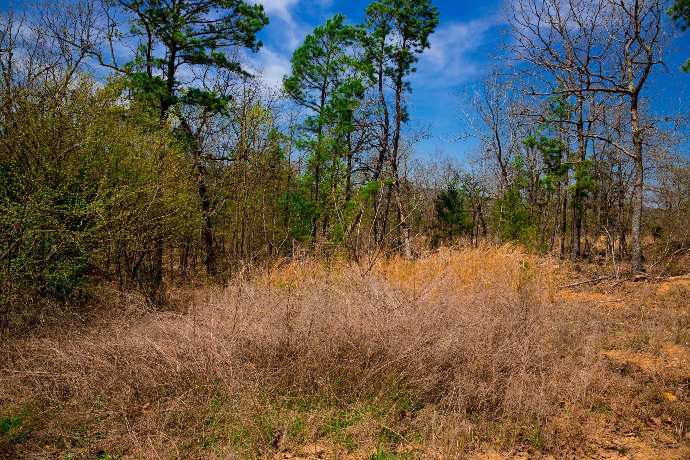 Stone Creek Phase II Tract 240 photo 23