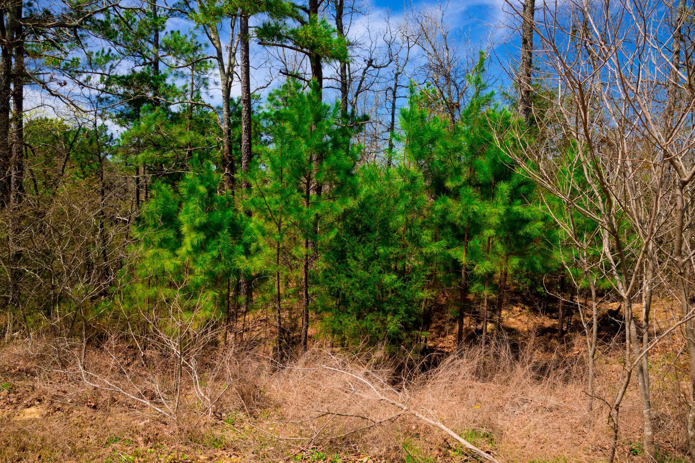 Stone Creek Phase II Tract 240 photo 24