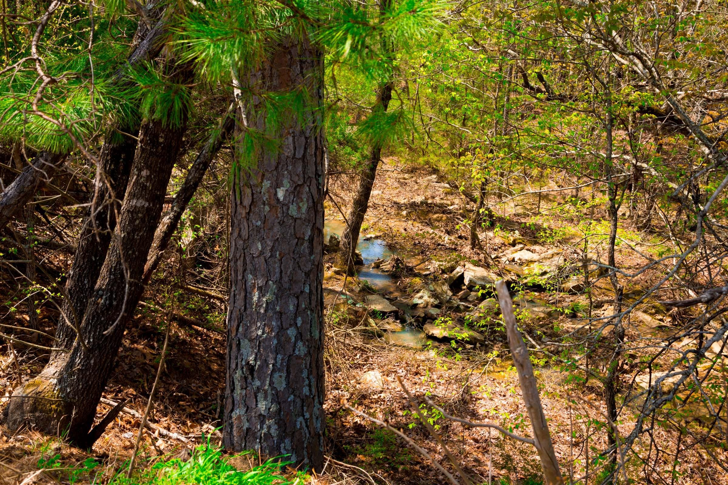 Stone Creek Phase II Tract 240 photo 26