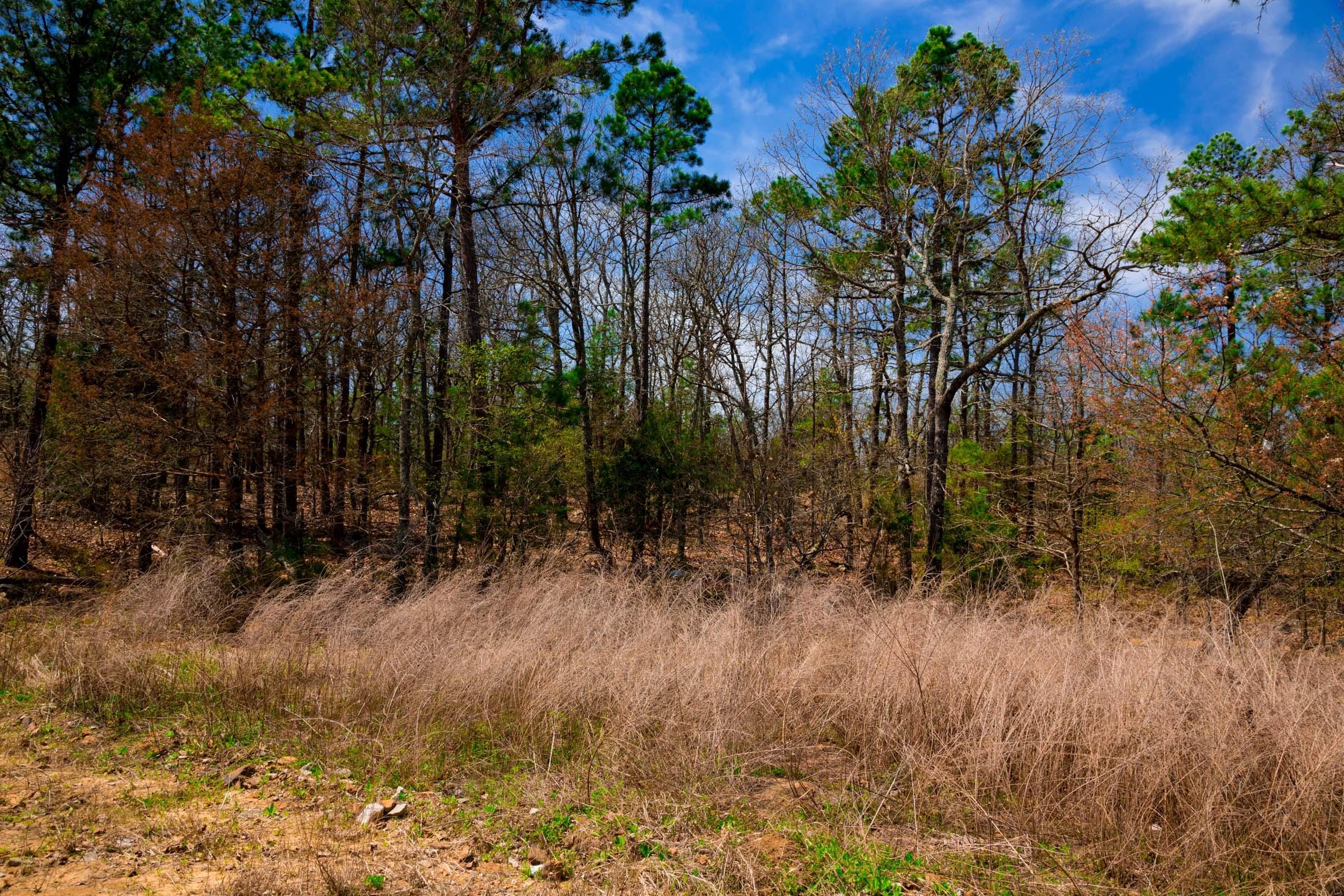 Stone Creek Phase II Tract 240 photo 28