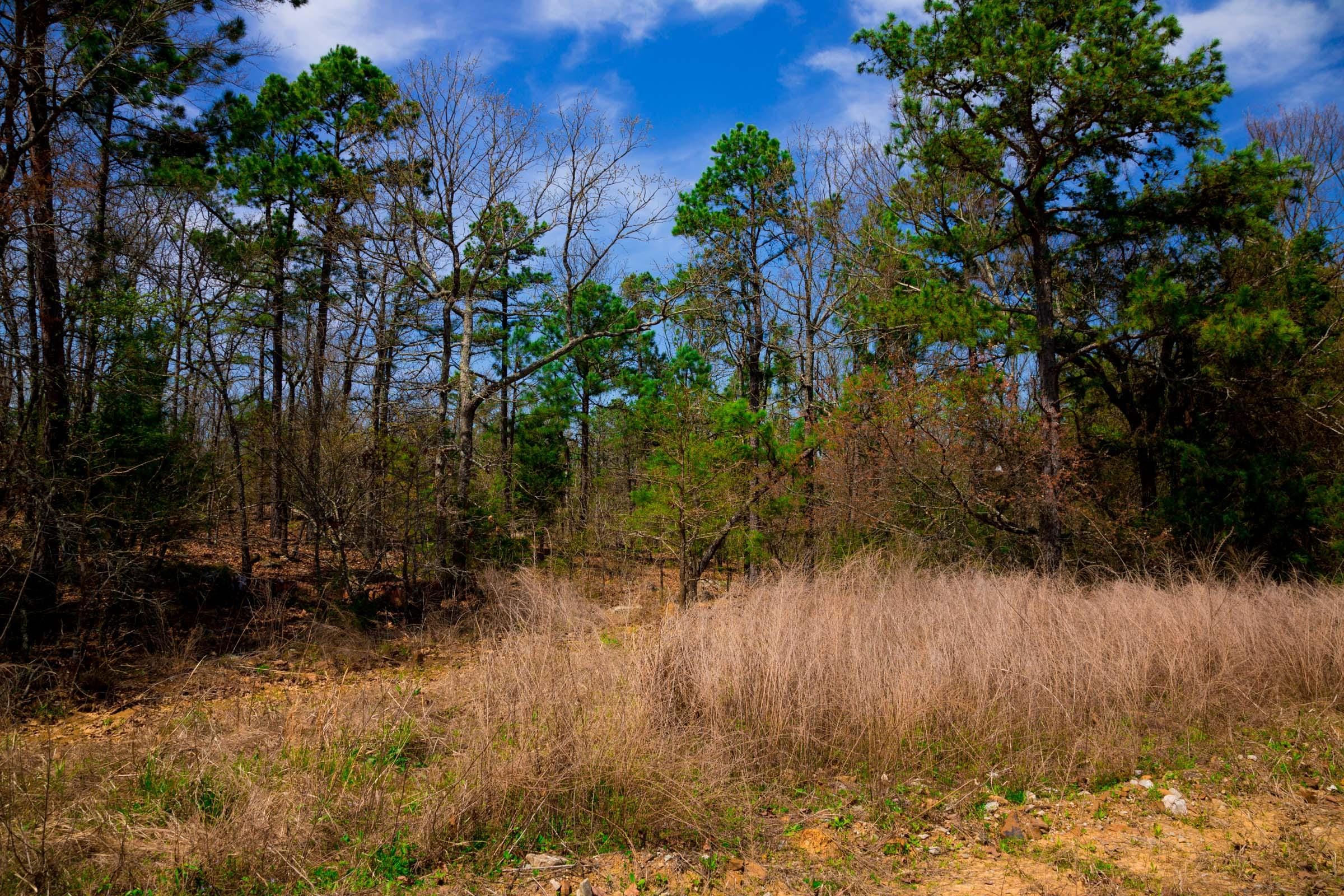 Stone Creek Phase II Tract 240 photo 29