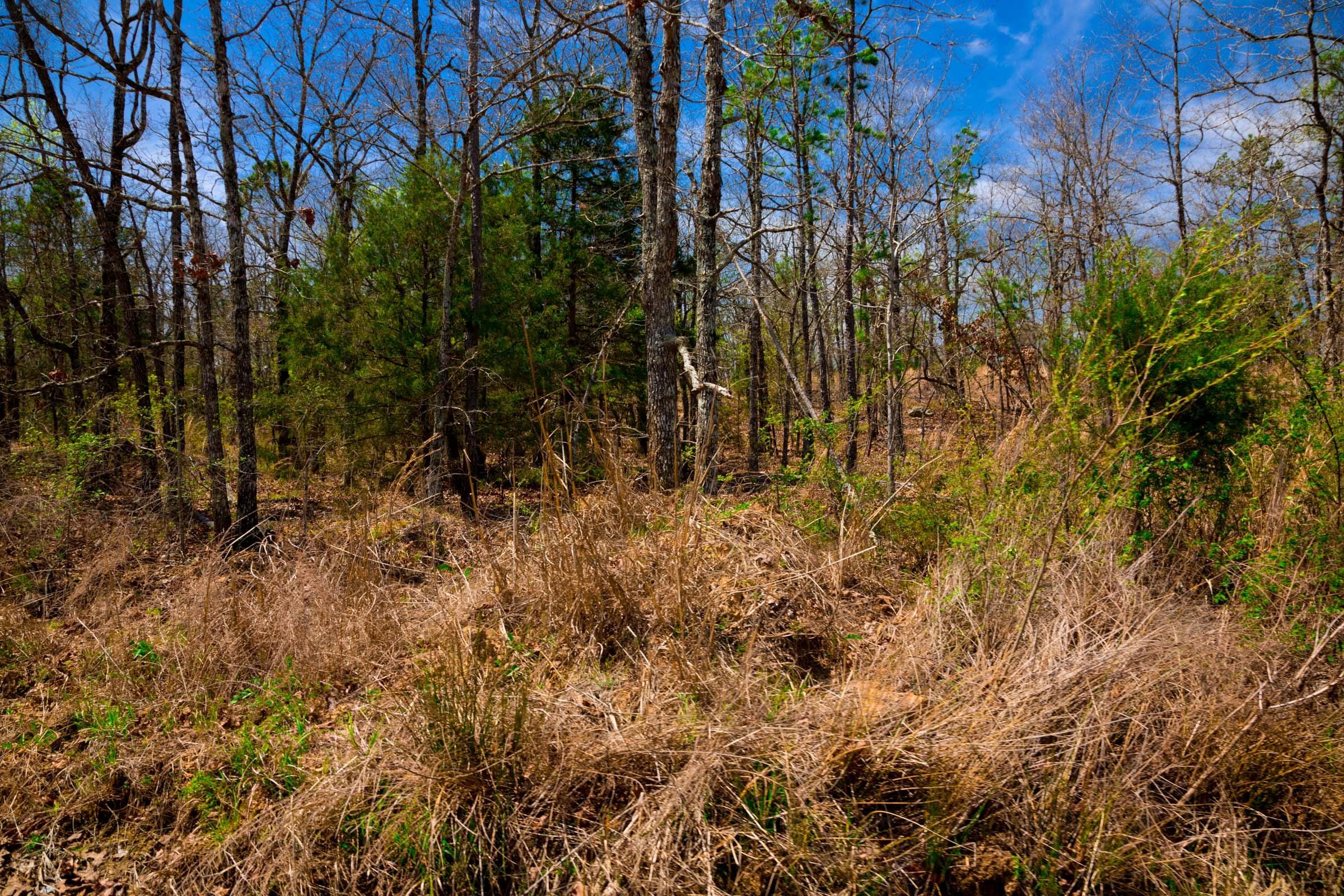 Stone Creek Phase II Tract 240 photo 30
