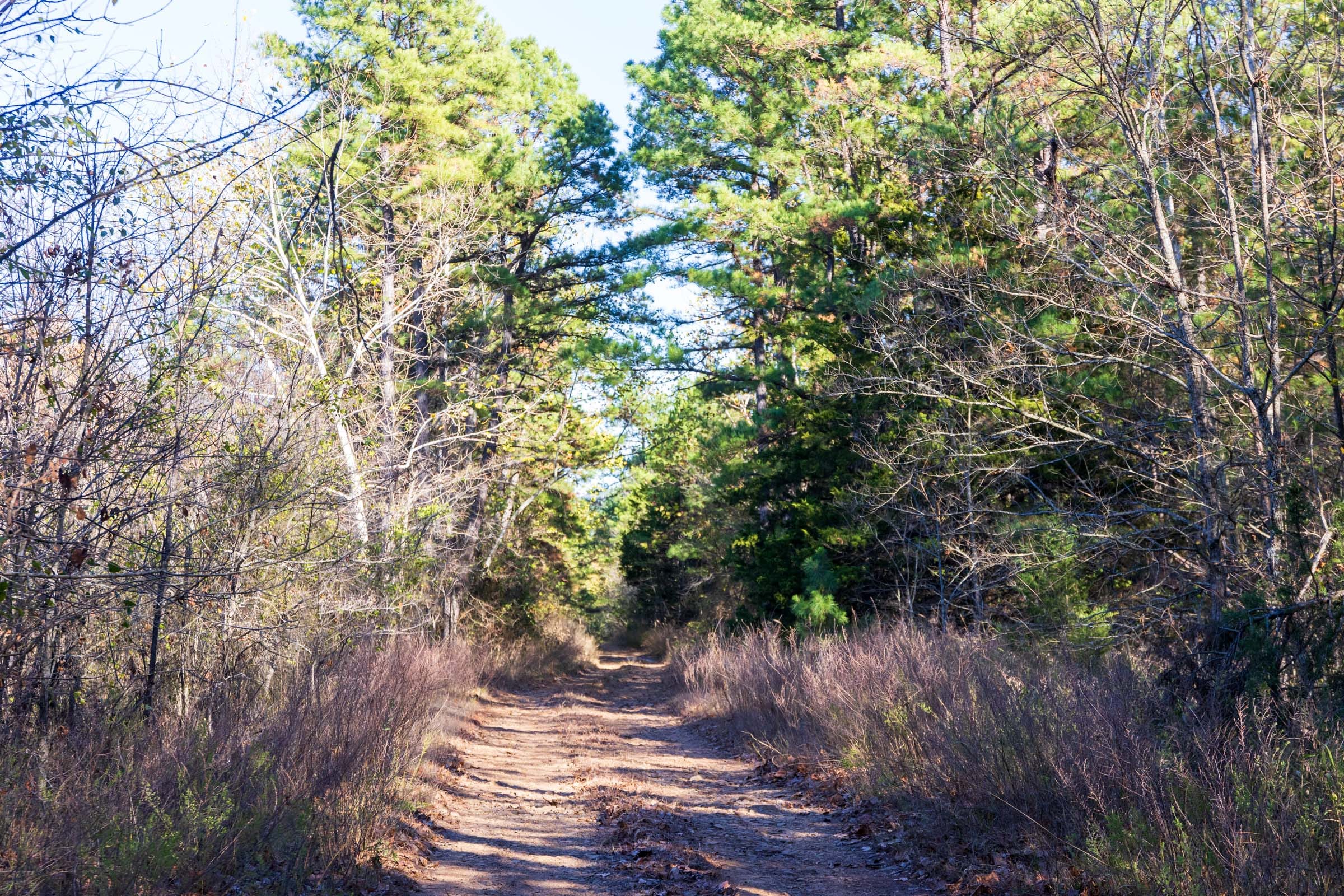 Stone Bridge Reserve Tract 26 photo 1