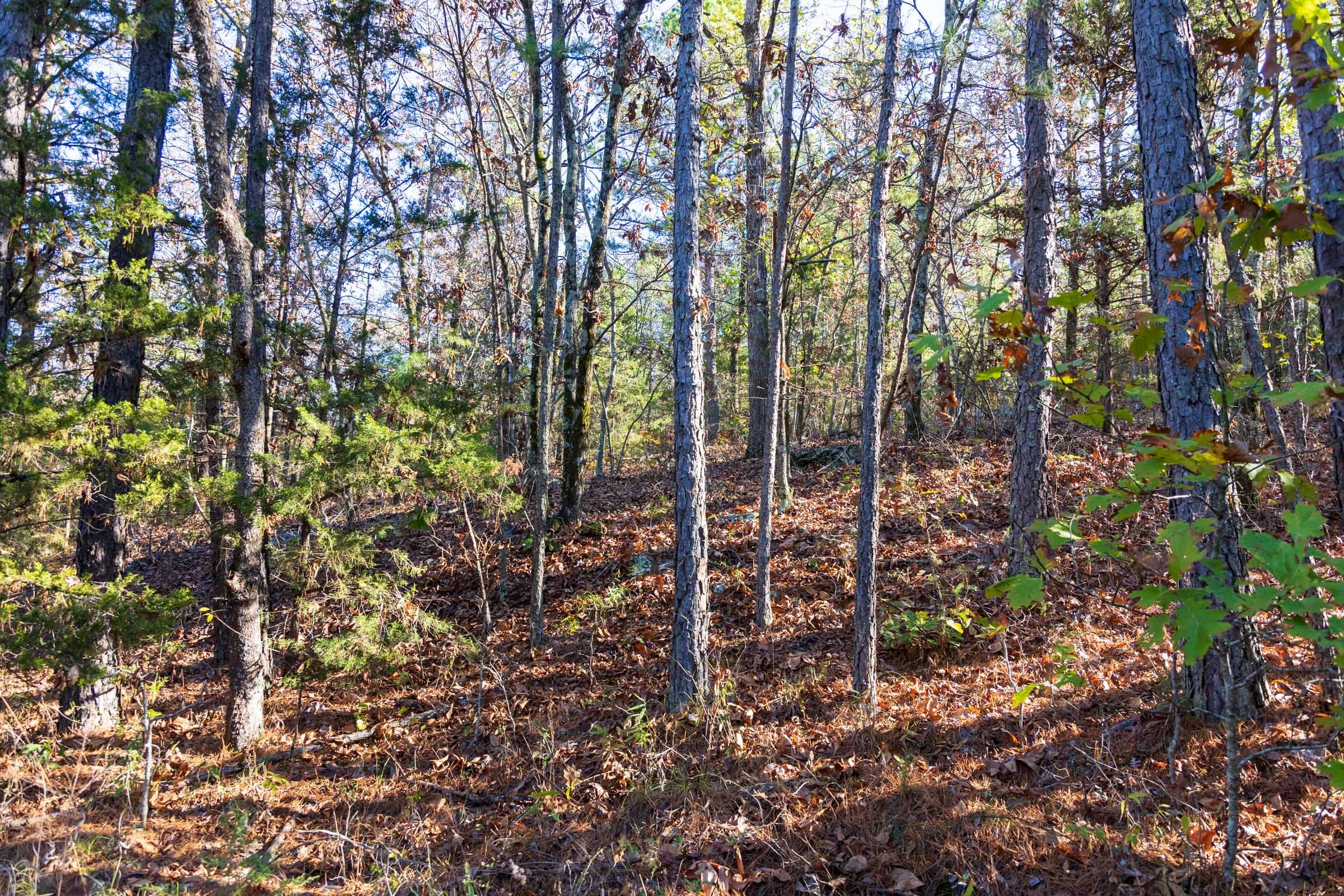 Stone Bridge Reserve Tract 26 photo 9