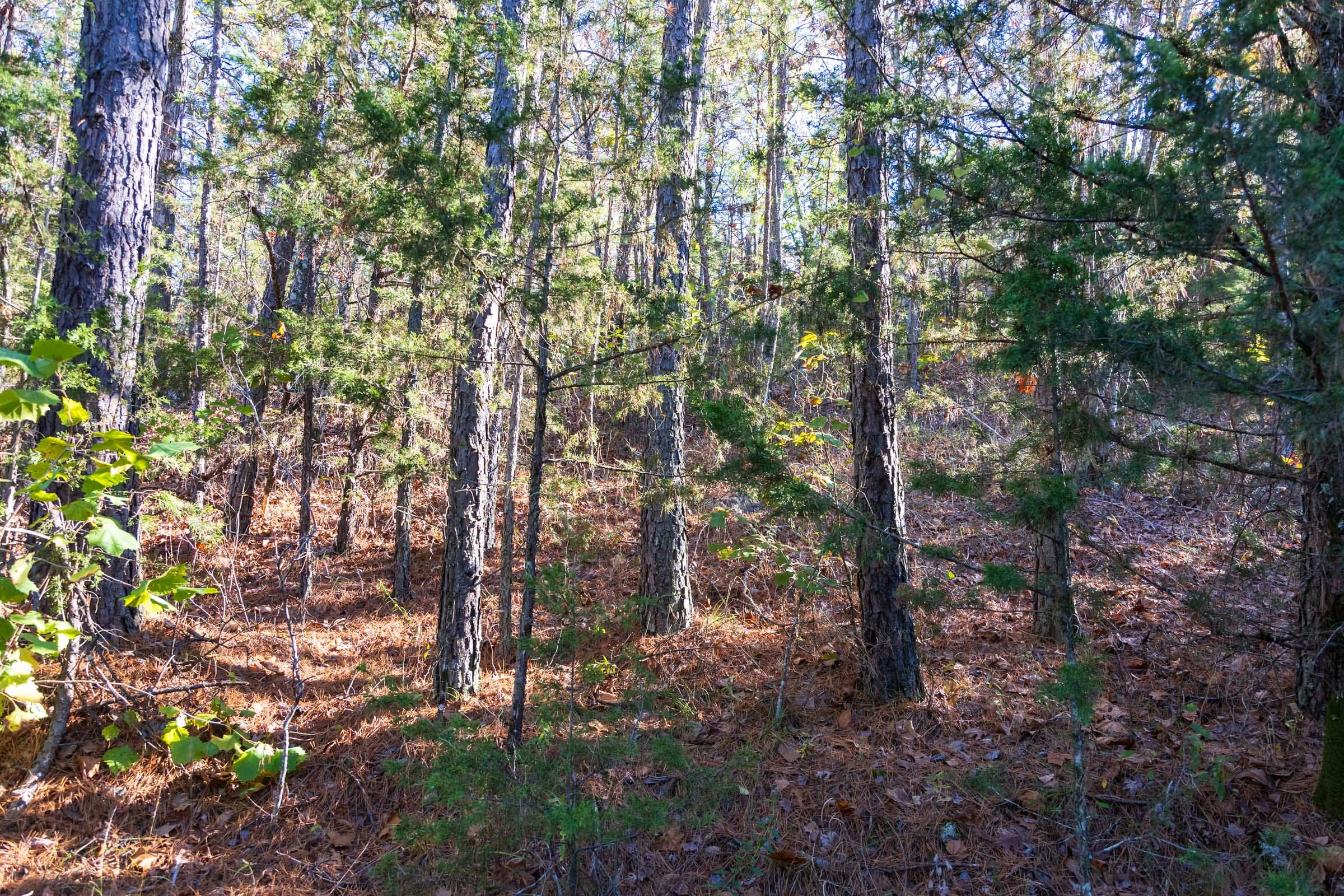 Stone Bridge Reserve Tract 26 photo 12