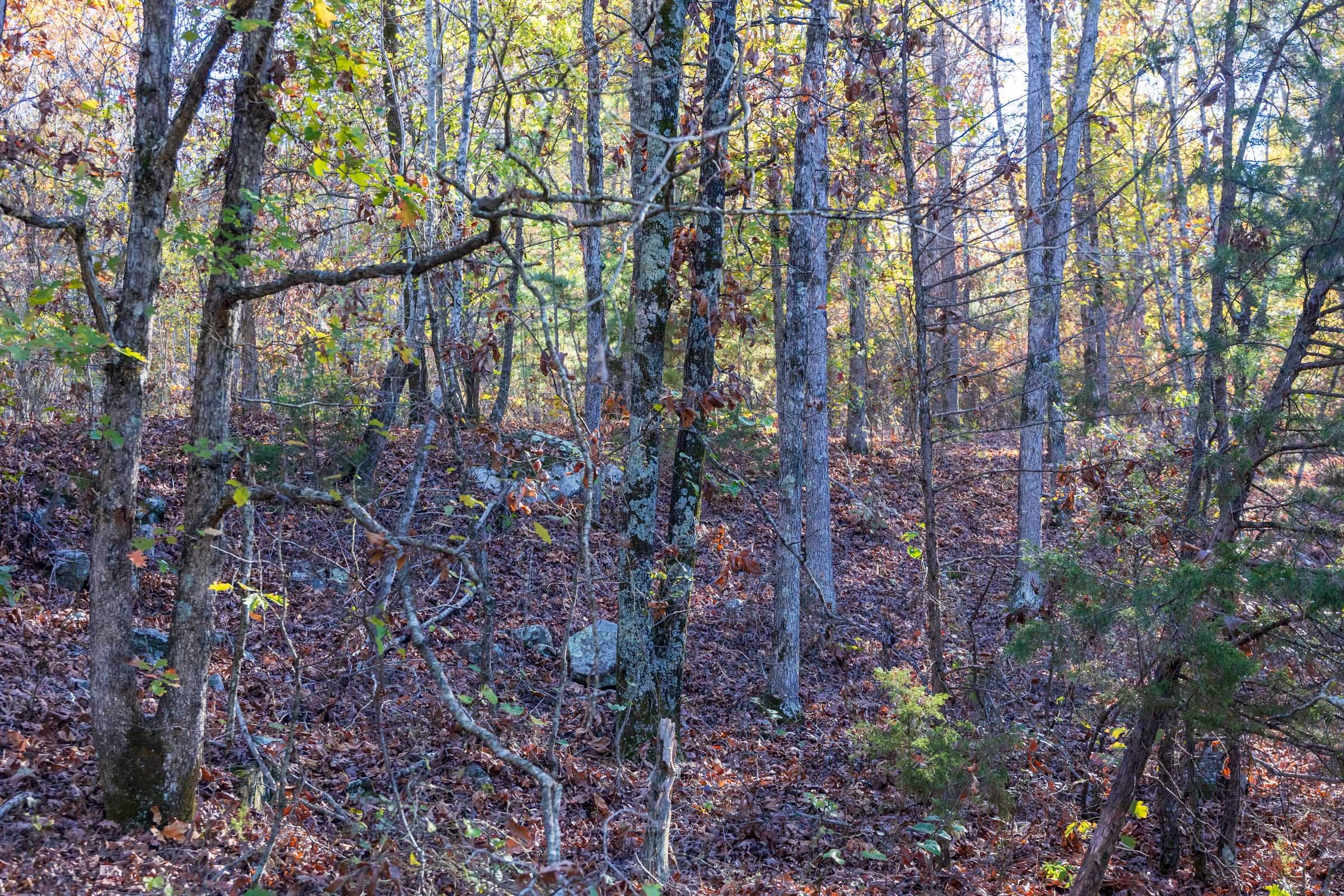 Stone Bridge Reserve Tract 26 photo 11