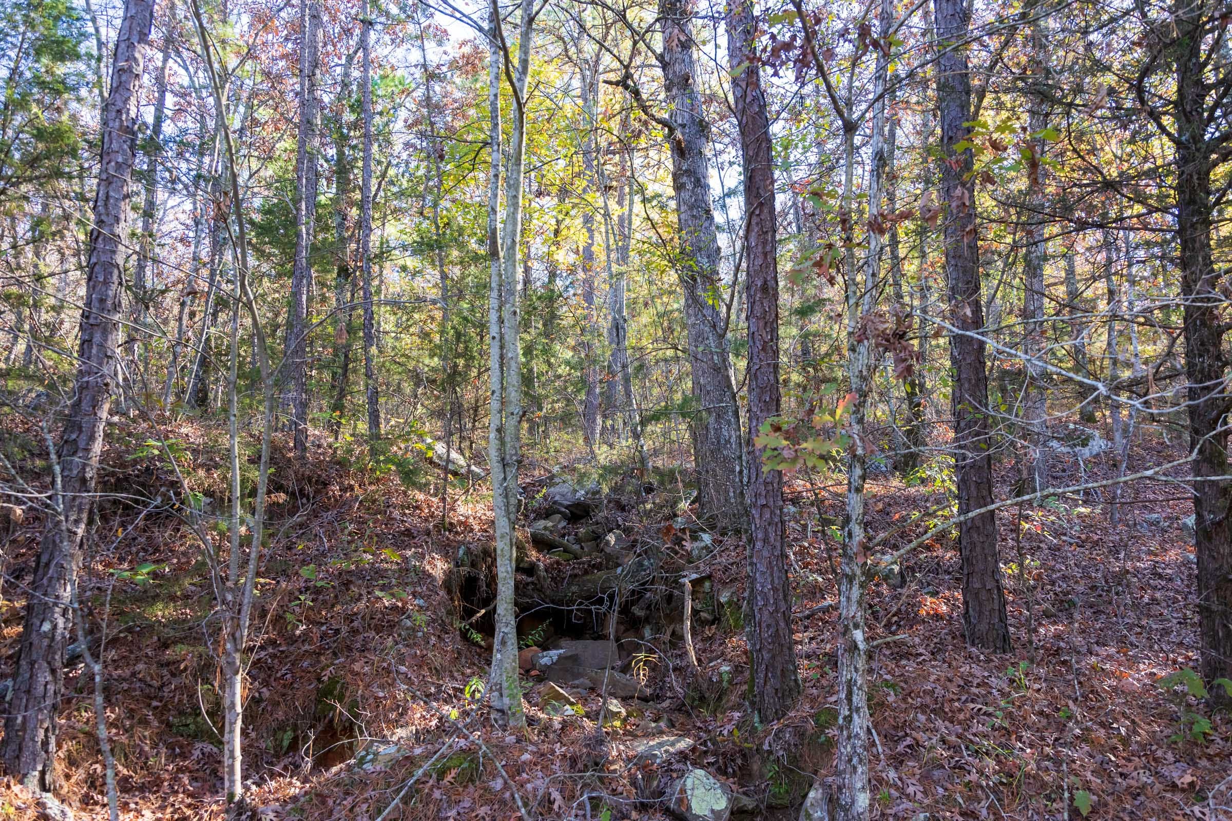 Stone Bridge Reserve Tract 26 photo 10