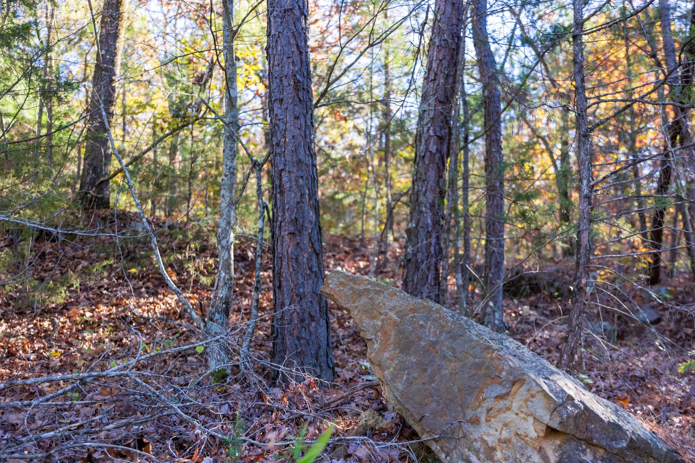 Stone Bridge Reserve Tract 26 photo 8