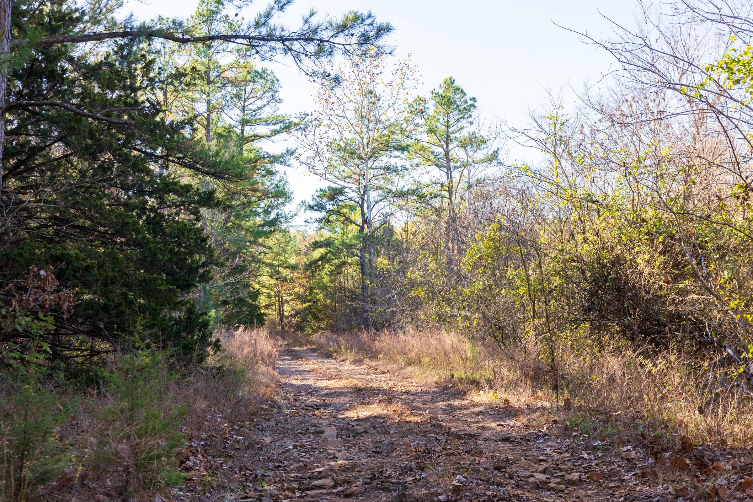 Stone Bridge Reserve Tract 26 photo 4