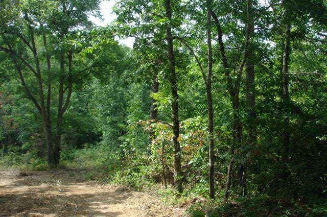Sugartree Falls Tract 28 photo 1