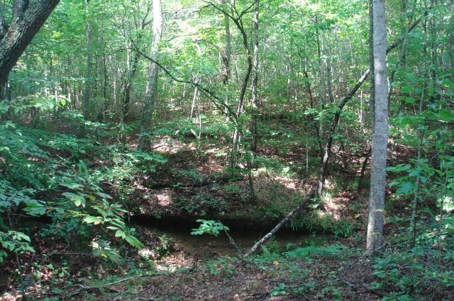 Sugartree Falls Tract 28 photo 3