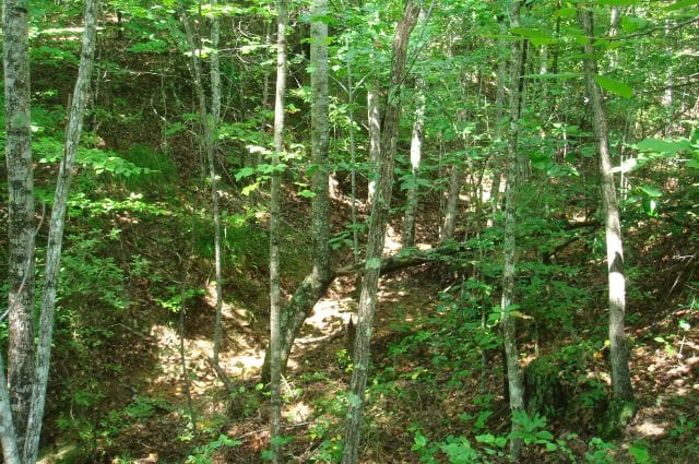 Sugartree Falls Tract 28 photo 6
