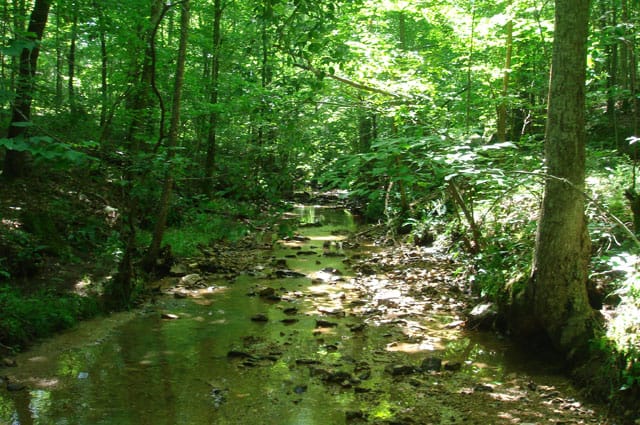 Sugartree Falls Tract 28 photo 7