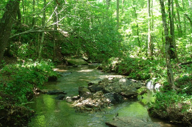 Sugartree Falls Tract 28 photo 8