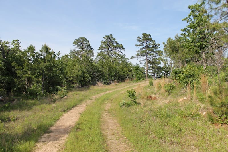 Indian Ridge – Phase II Tract 46 photo 1