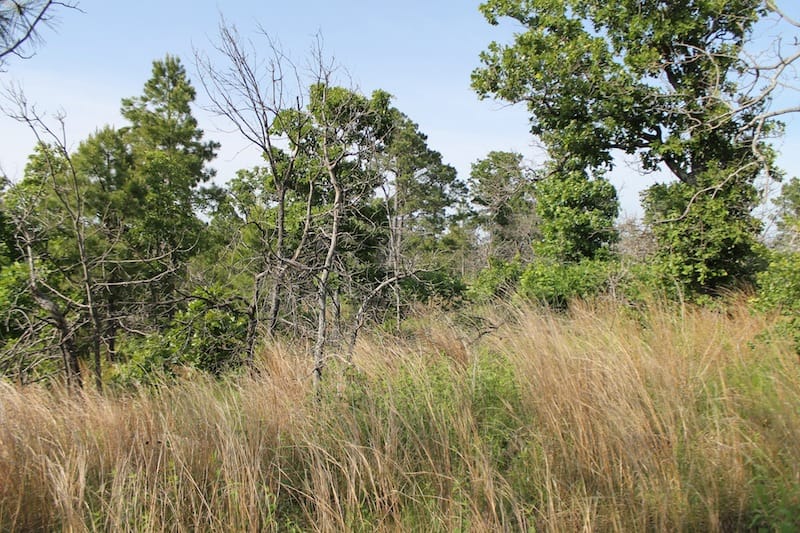 Indian Ridge – Phase II Tract 46 photo 5