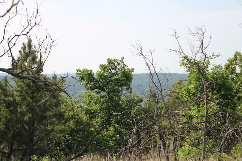Indian Ridge – Phase II Tract 46 photo 10