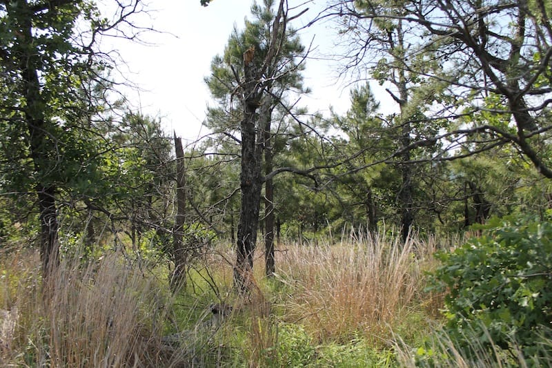 Indian Ridge – Phase II Tract 46 photo 11
