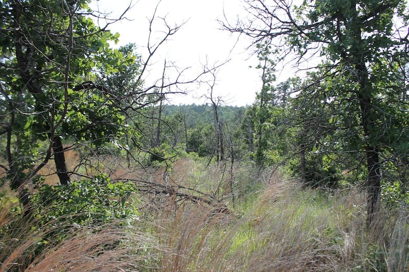 Indian Ridge – Phase II Tract 46 photo 12