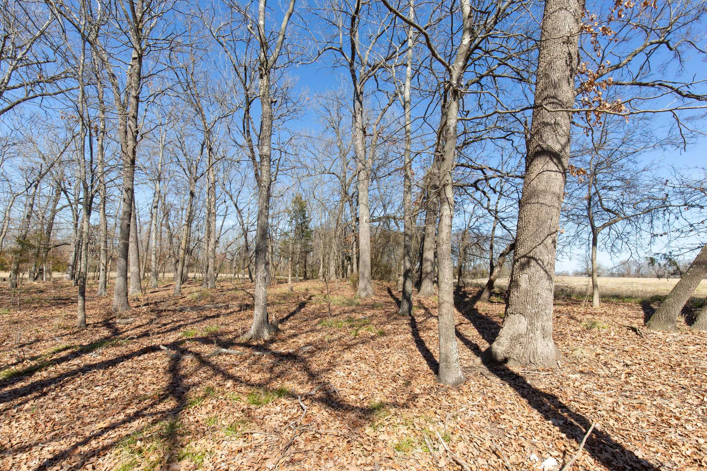 Wishing Star Ranch Tract 30 photo 3