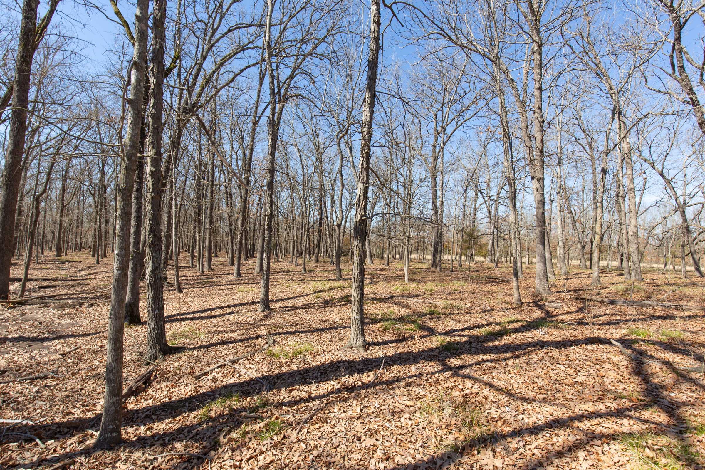 Wishing Star Ranch Tract 30 photo 4