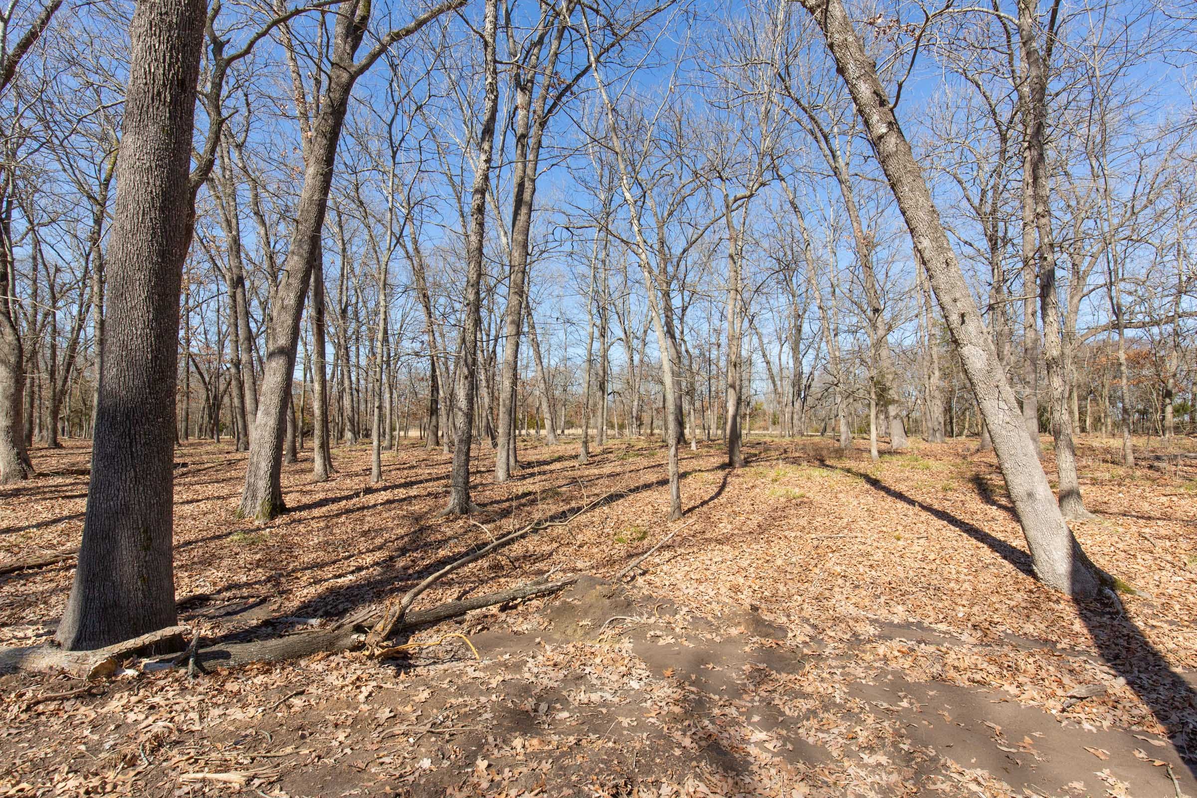 Wishing Star Ranch Tract 30 photo 5