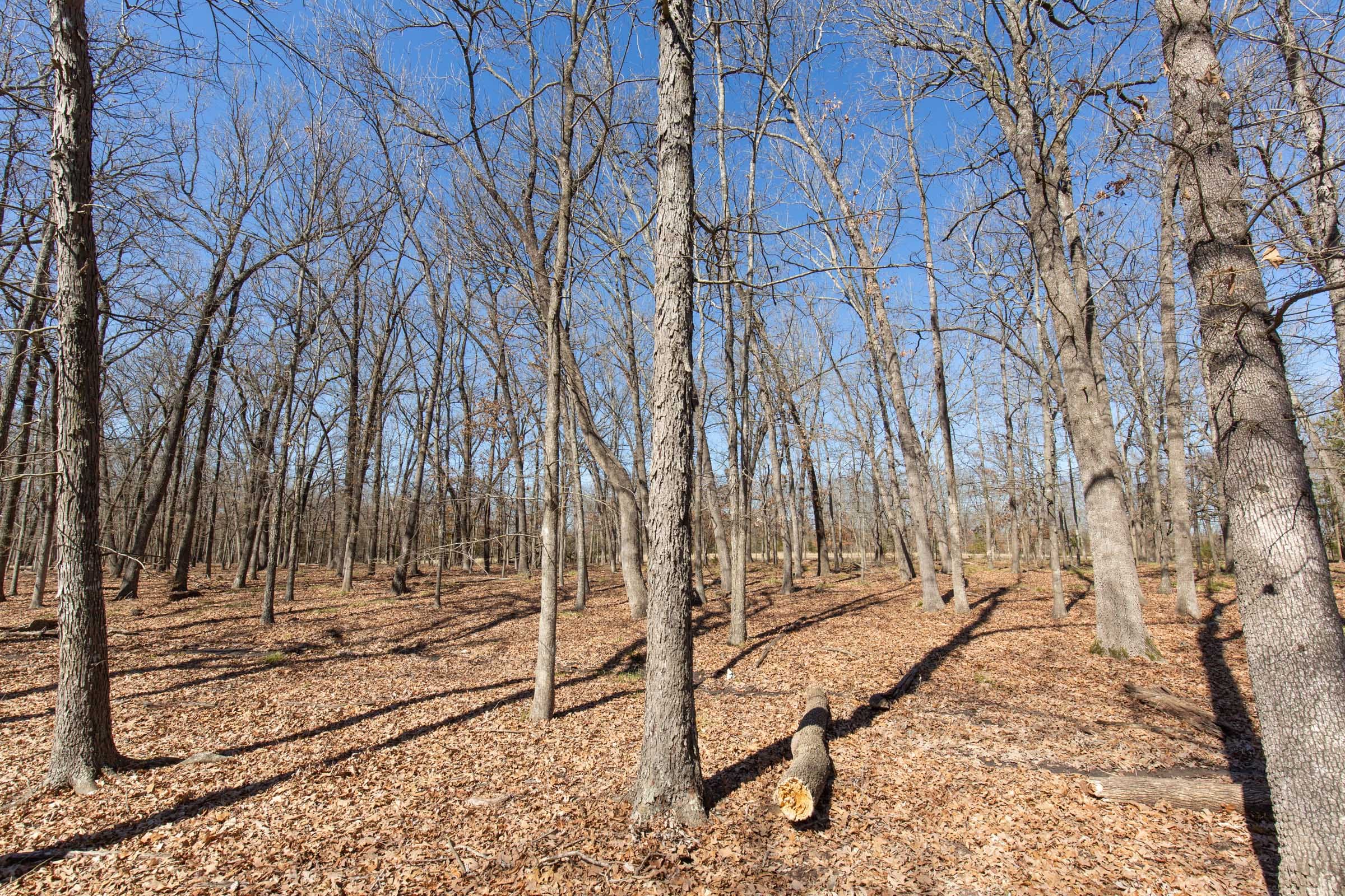 Wishing Star Ranch Tract 30 photo 6