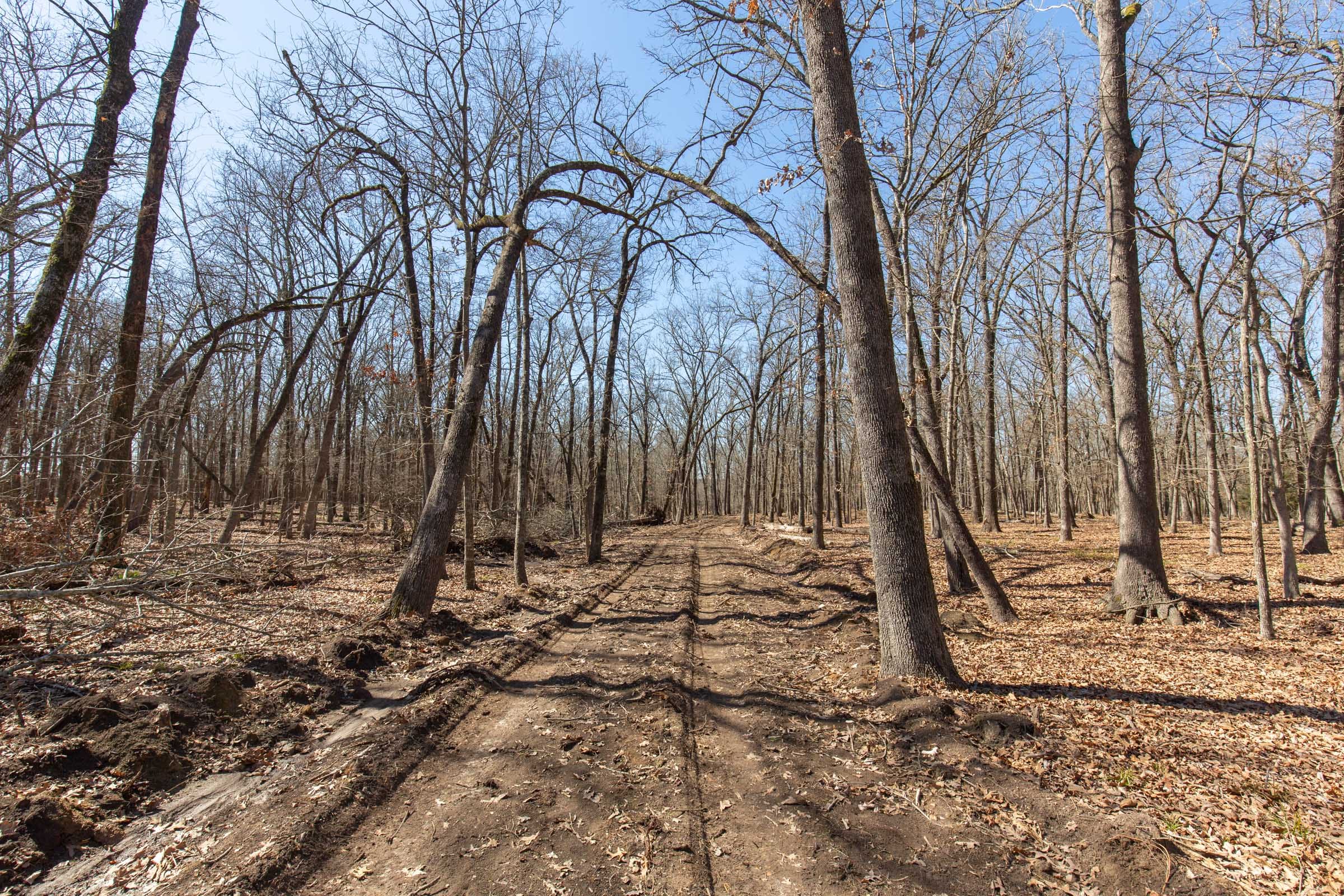 Wishing Star Ranch Tract 30 photo 7