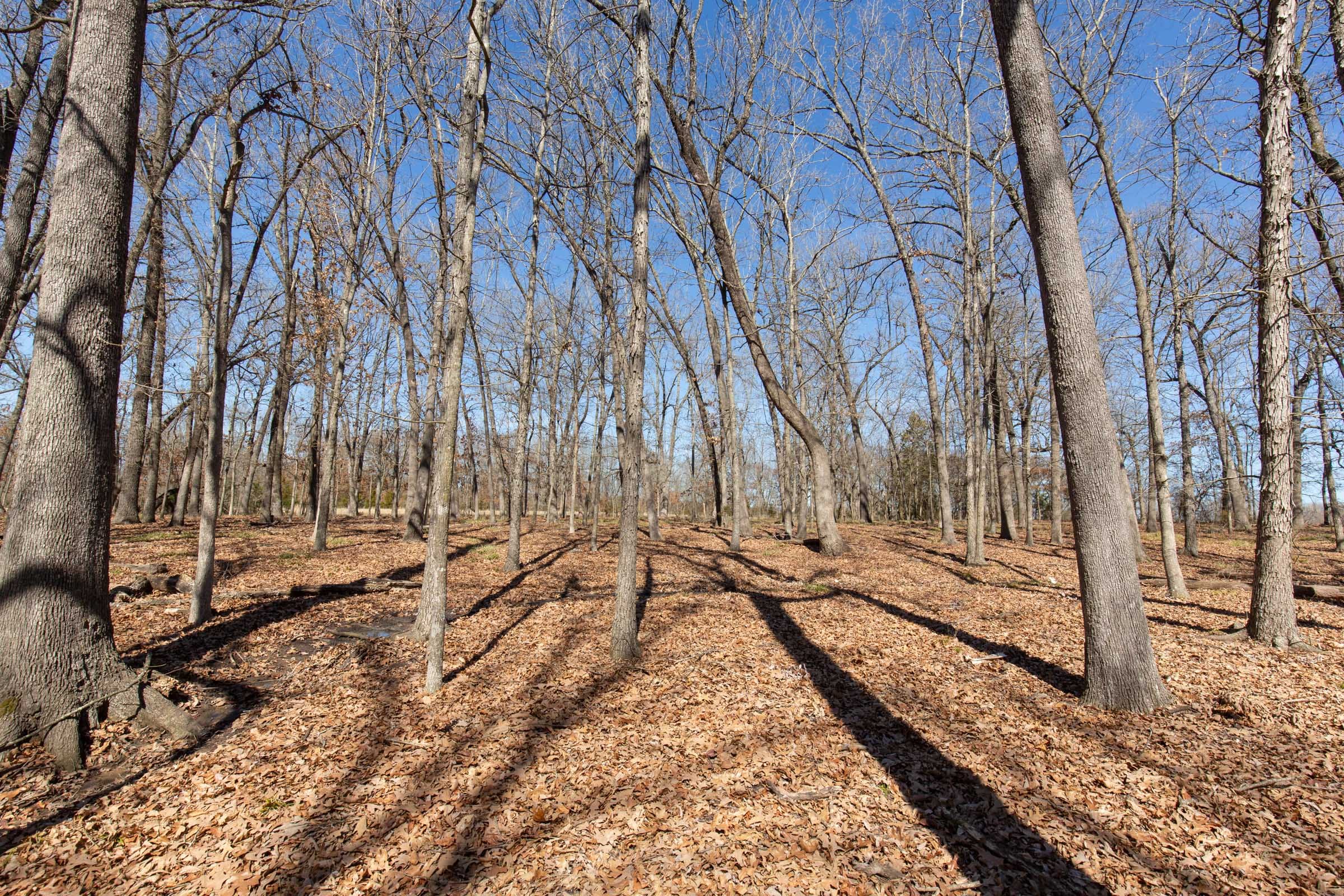 Wishing Star Ranch Tract 30 photo 8