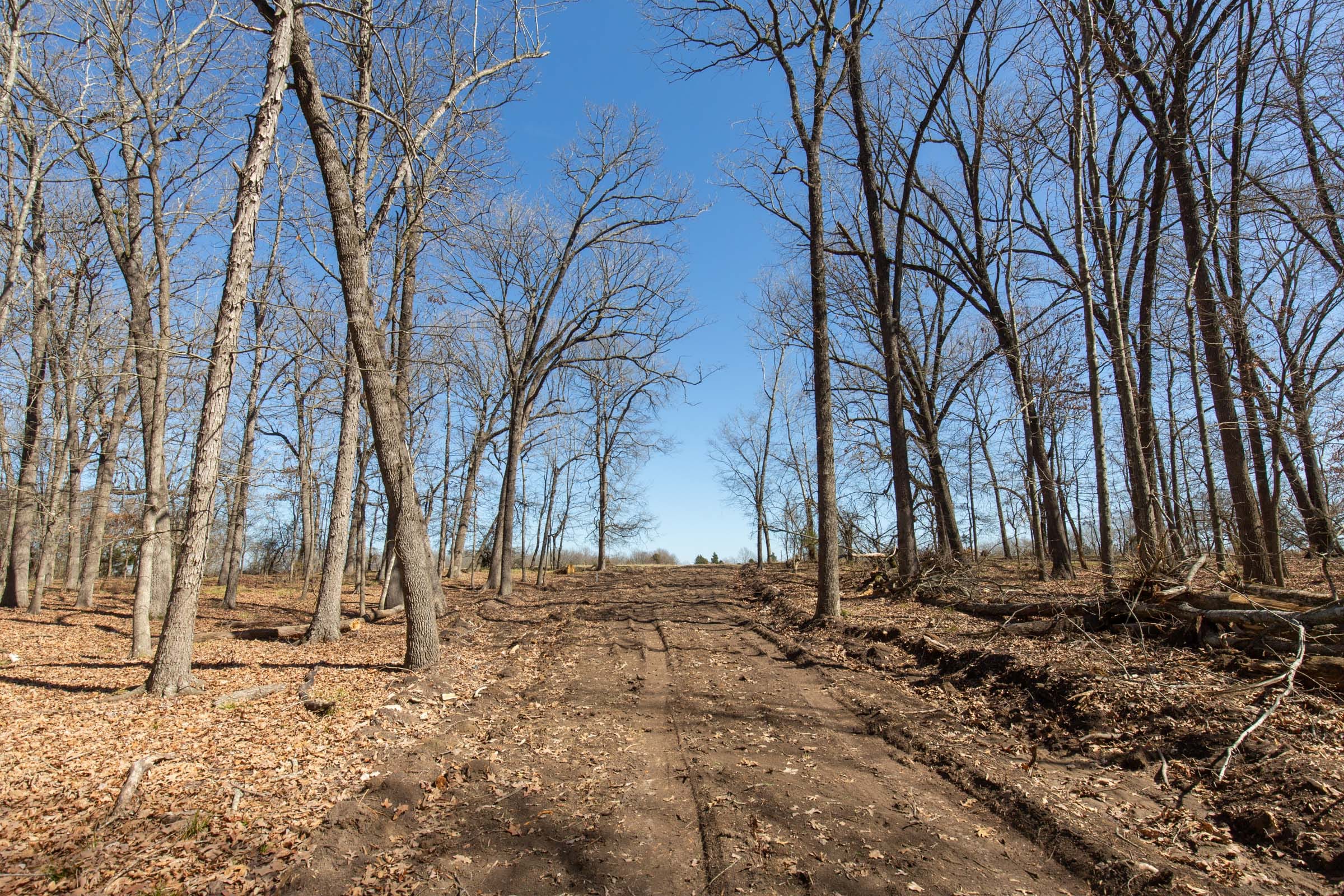 Wishing Star Ranch Tract 30 photo 9