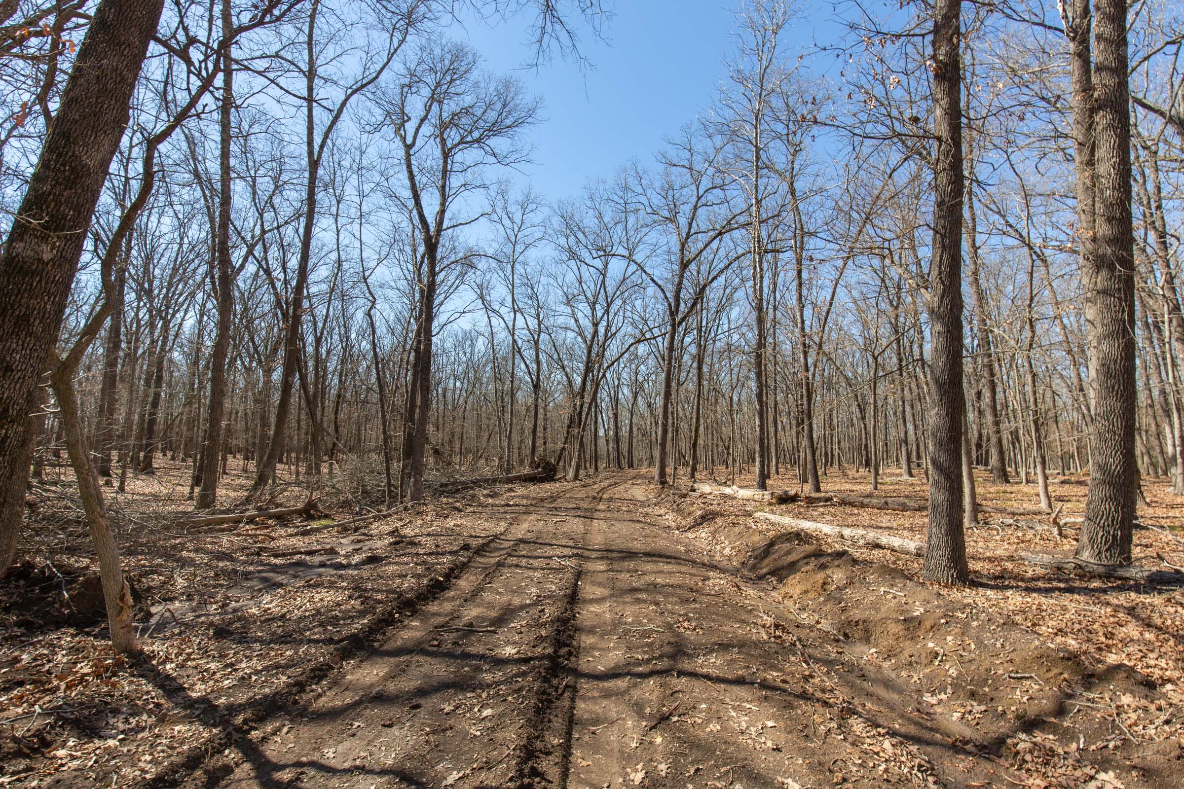 Wishing Star Ranch Tract 30 photo 10