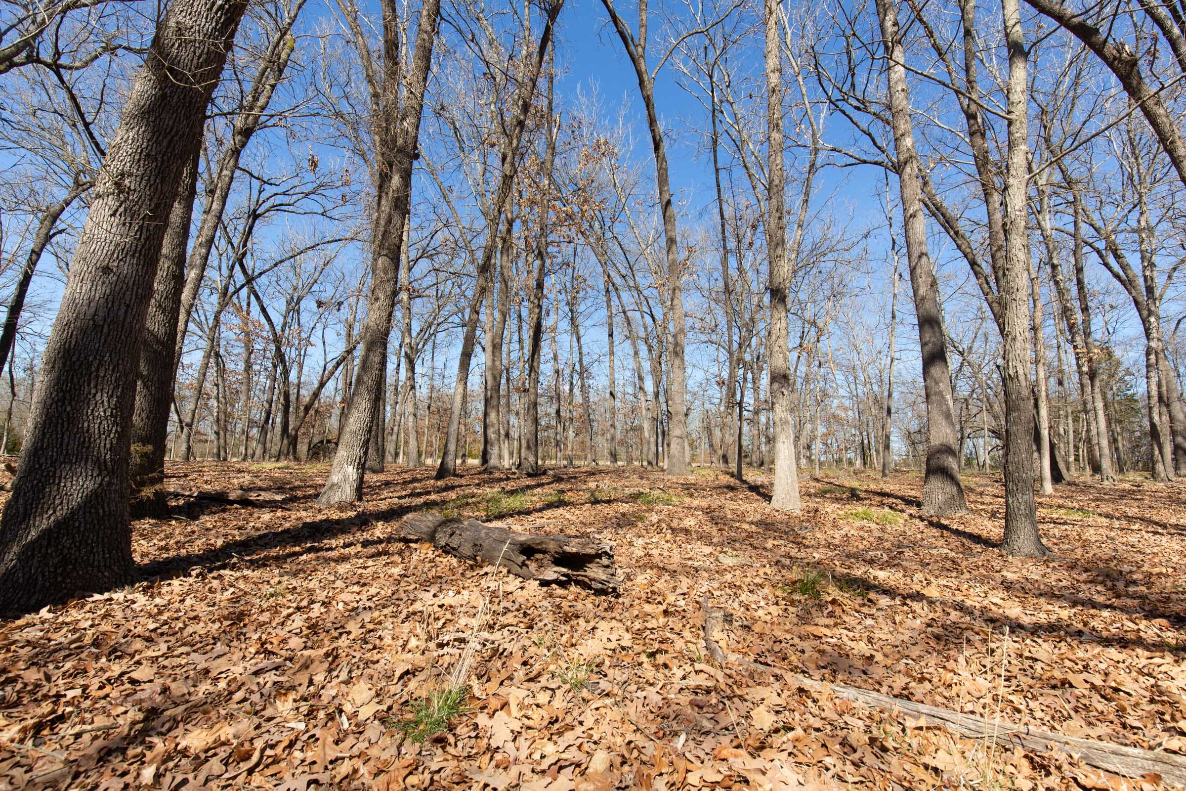 Wishing Star Ranch Tract 30 photo 12