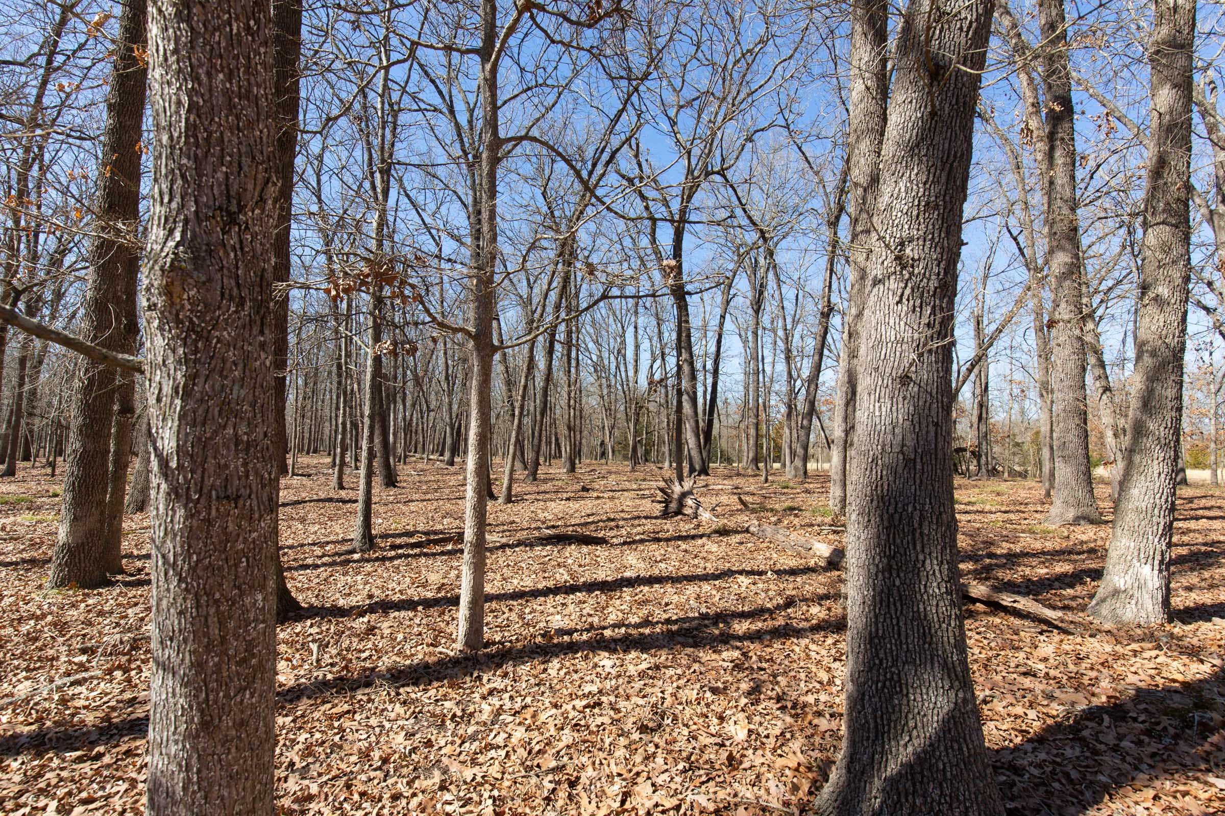 Wishing Star Ranch Tract 30 photo 13