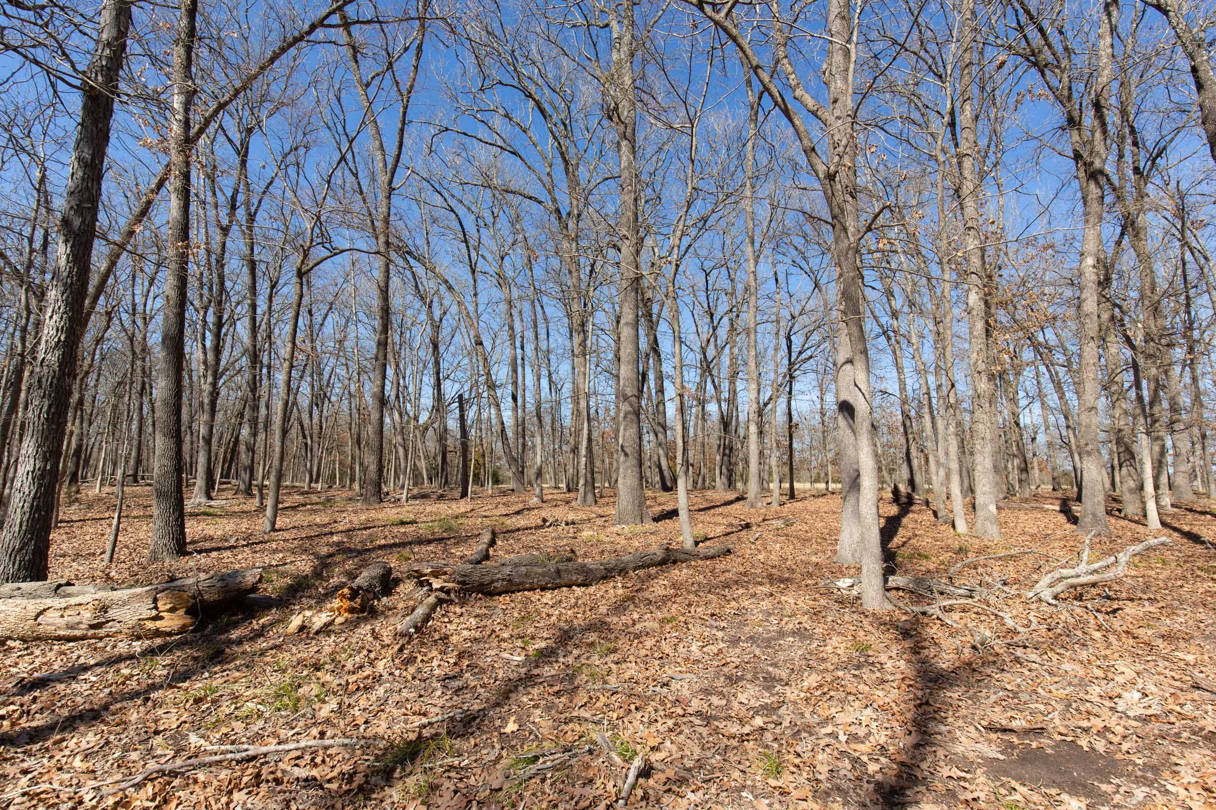 Wishing Star Ranch Tract 30 photo 14