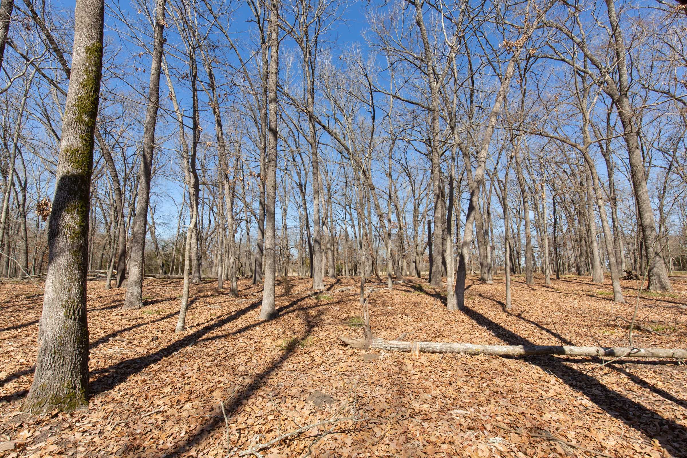 Wishing Star Ranch Tract 30 photo 15